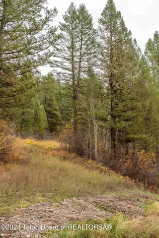 $290,000 | Lot 24 Trail Ridge Road, Alpine, WY 83128