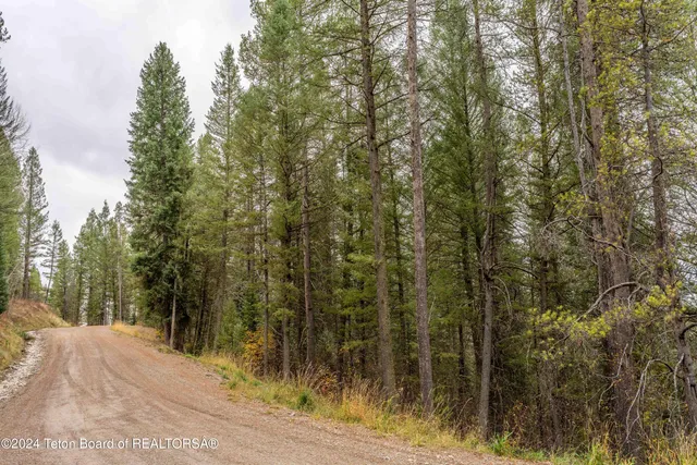 $290,000 | Lot 24 Trail Ridge Road, Alpine, WY 83128