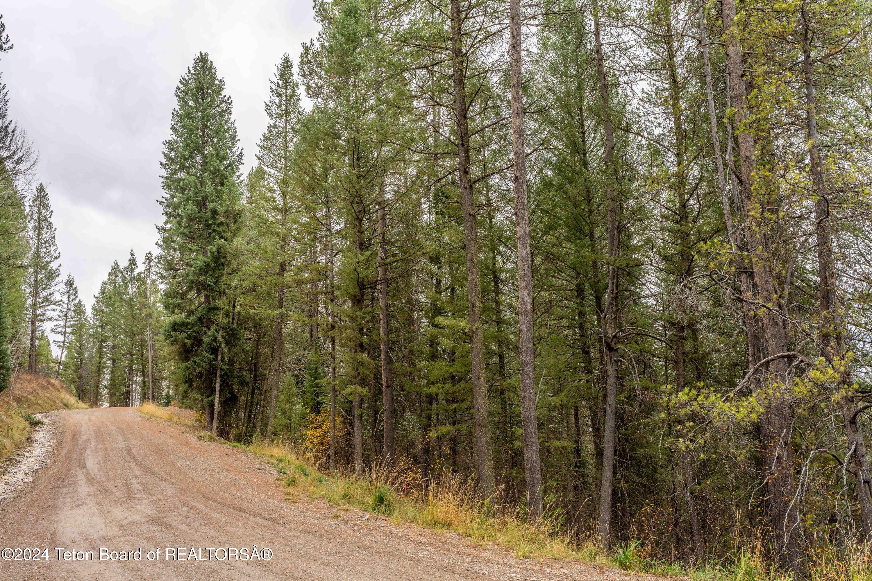 Lot 24 Trail Ridge Road Alpine, WY 83128 - Photo 9 of 13 ShadowDancer24_JGPhoto-15