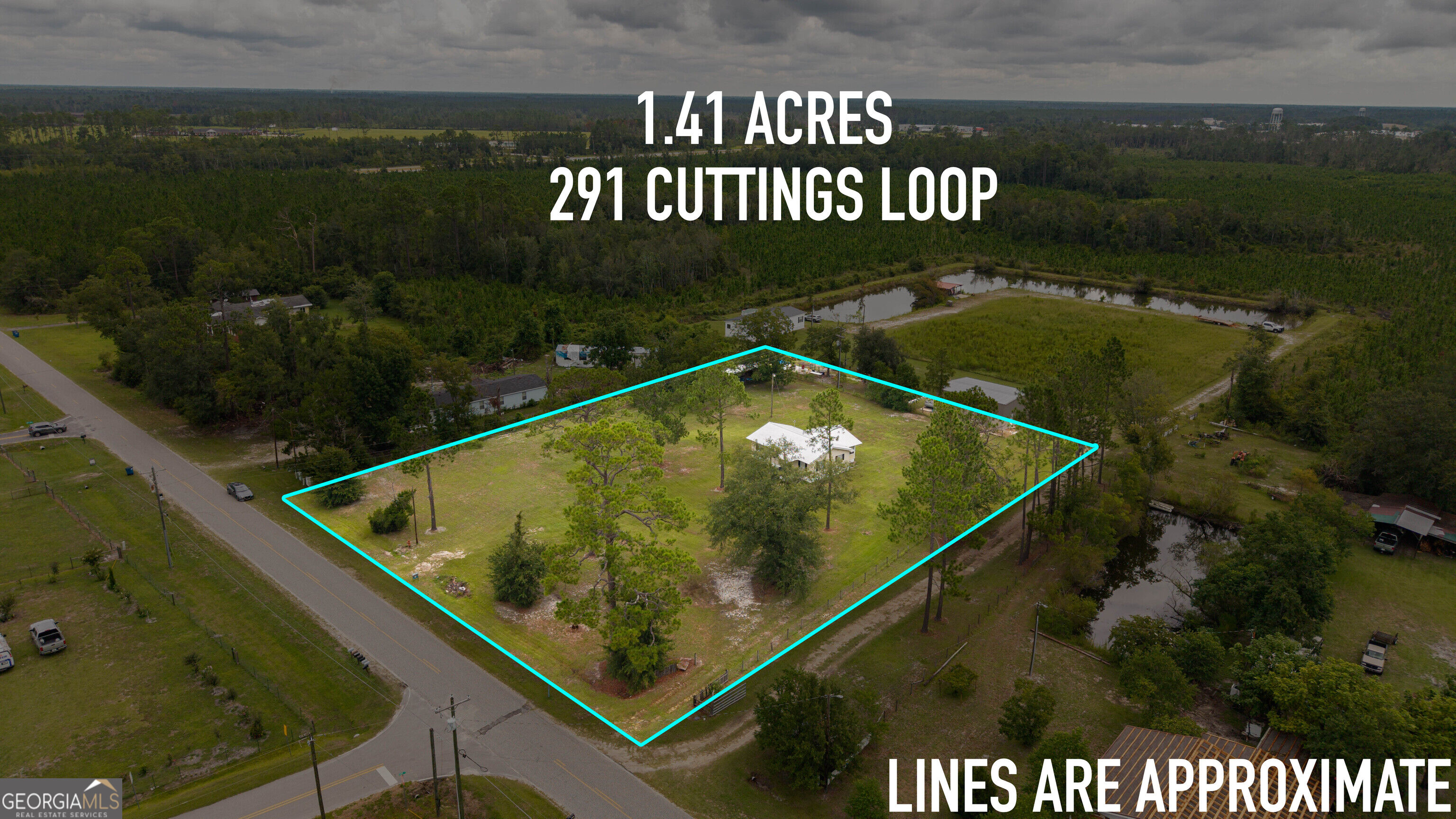 291 Cuttings Loop Road Homerville, GA 31634 - Photo 3 of 31 Gallery Image 3