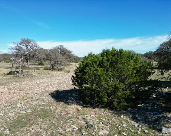 $259,000 | 0 Elm Spgs Trail, Menard, TX 76859