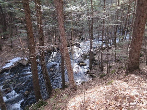 0 Moss Brook Road Orange, MA 01364 - Photo 12 of 17 Gallery Image 12