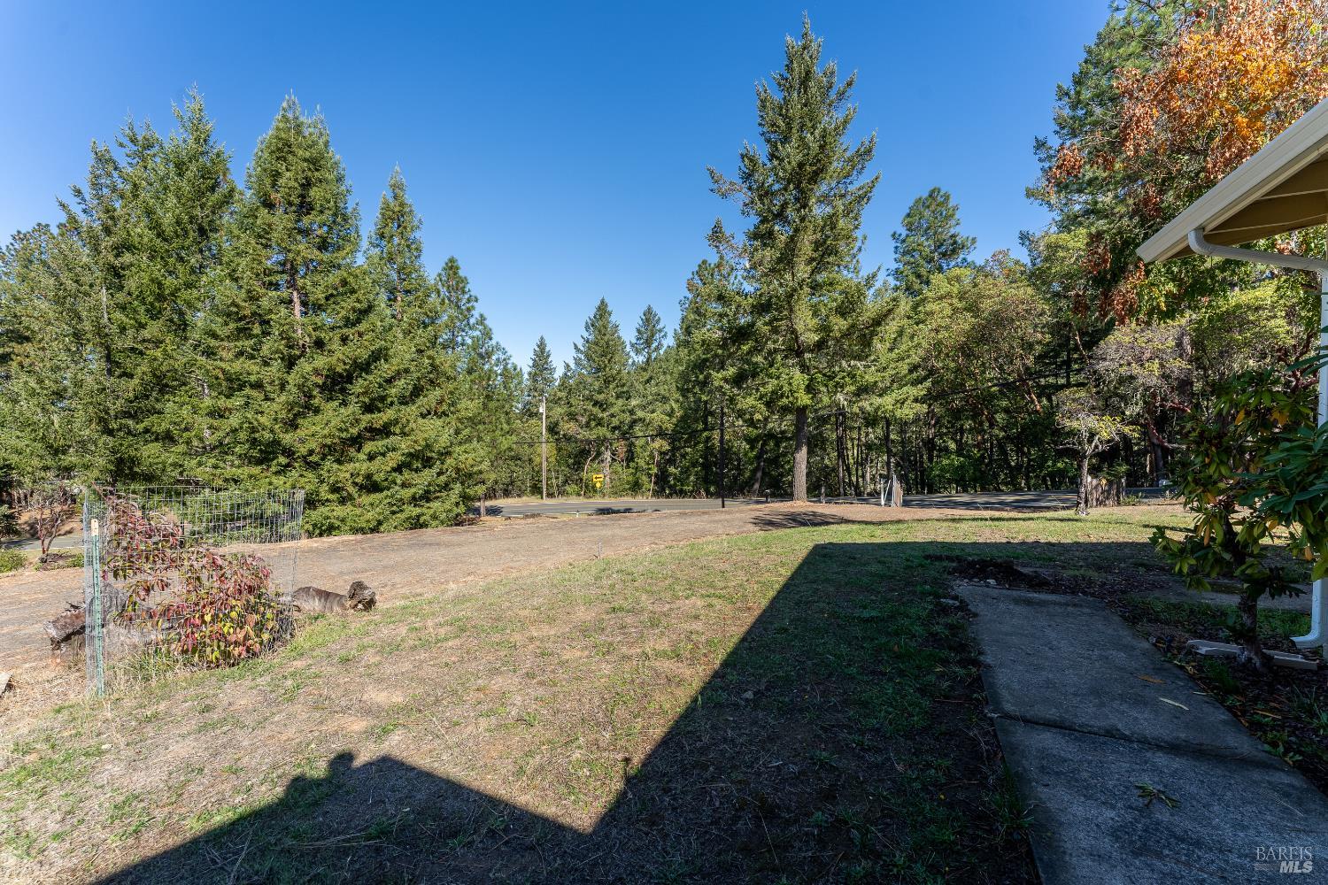 3651 Ridgewood Road Willits, CA 95490 - Photo 43 of 45 a view of back yard of the house