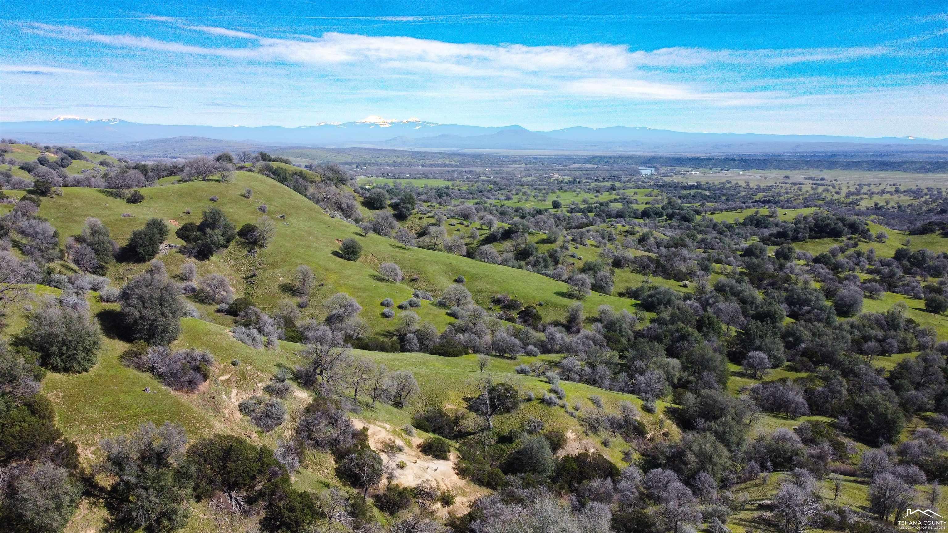 0 Jellys Ferry Road Red Bluff, CA 96080 - Photo 20 of 24 Gallery Image 20