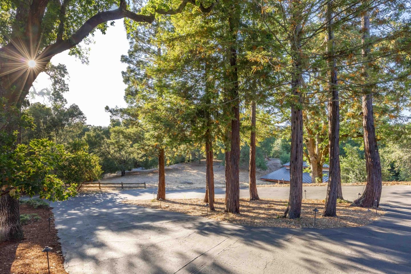 140 Farm Road Woodside, CA 94062 - Photo 31 of 39 a view of a yard with large trees