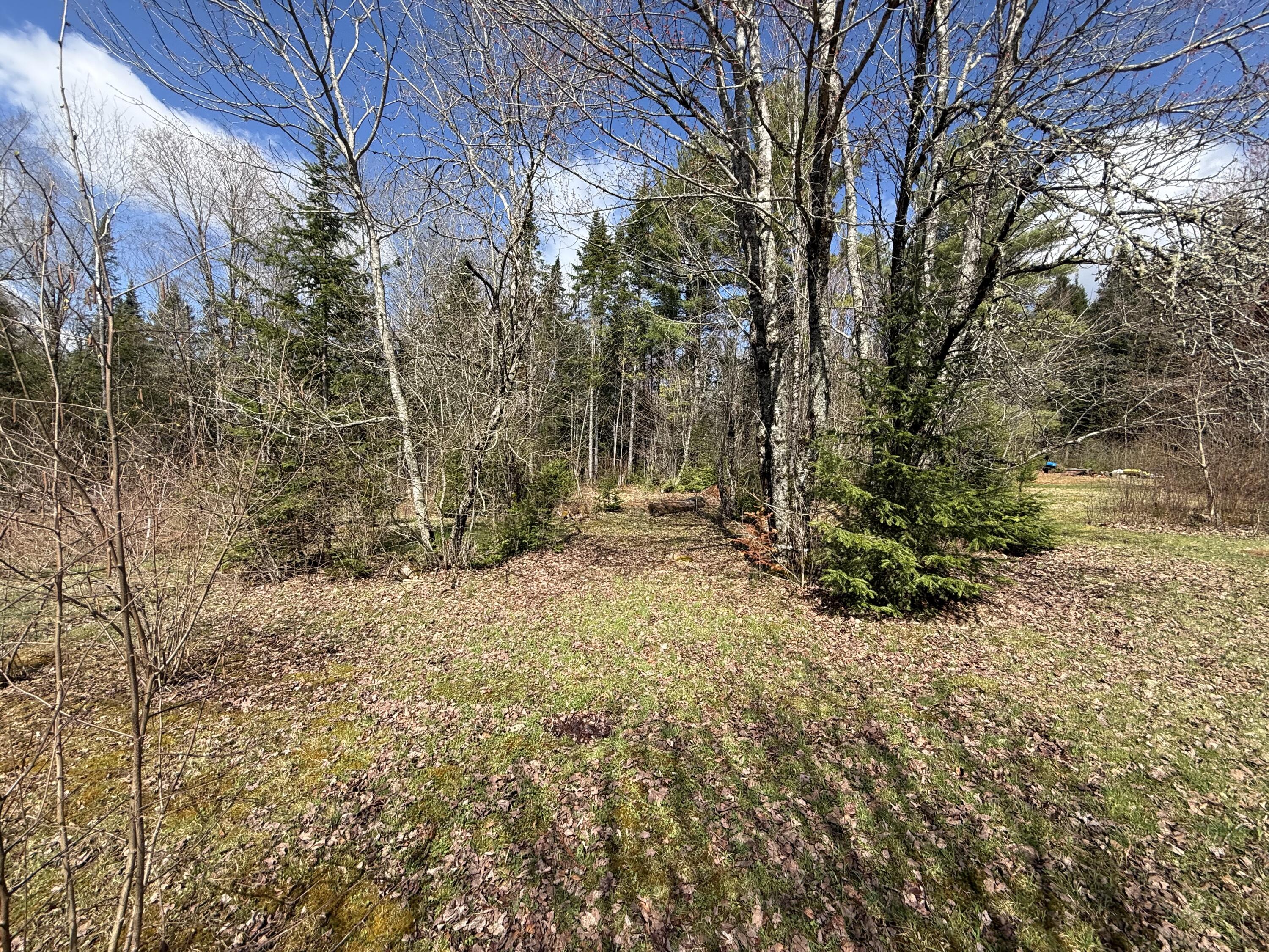 848 Bancroft Road Weston, ME 04424 - Photo 9 of 30 IMG_9535