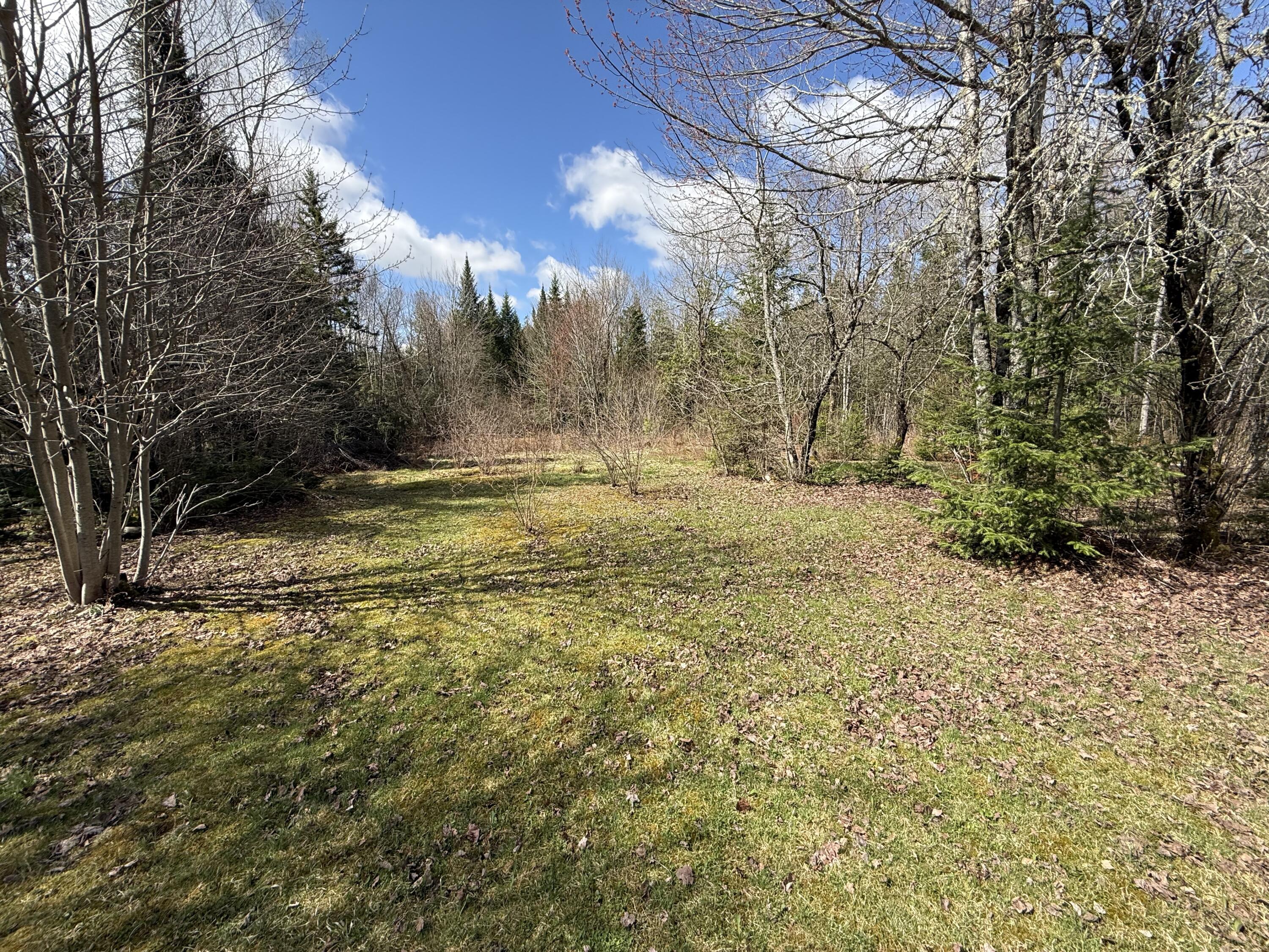 848 Bancroft Road Weston, ME 04424 - Photo 10 of 30 IMG_9534