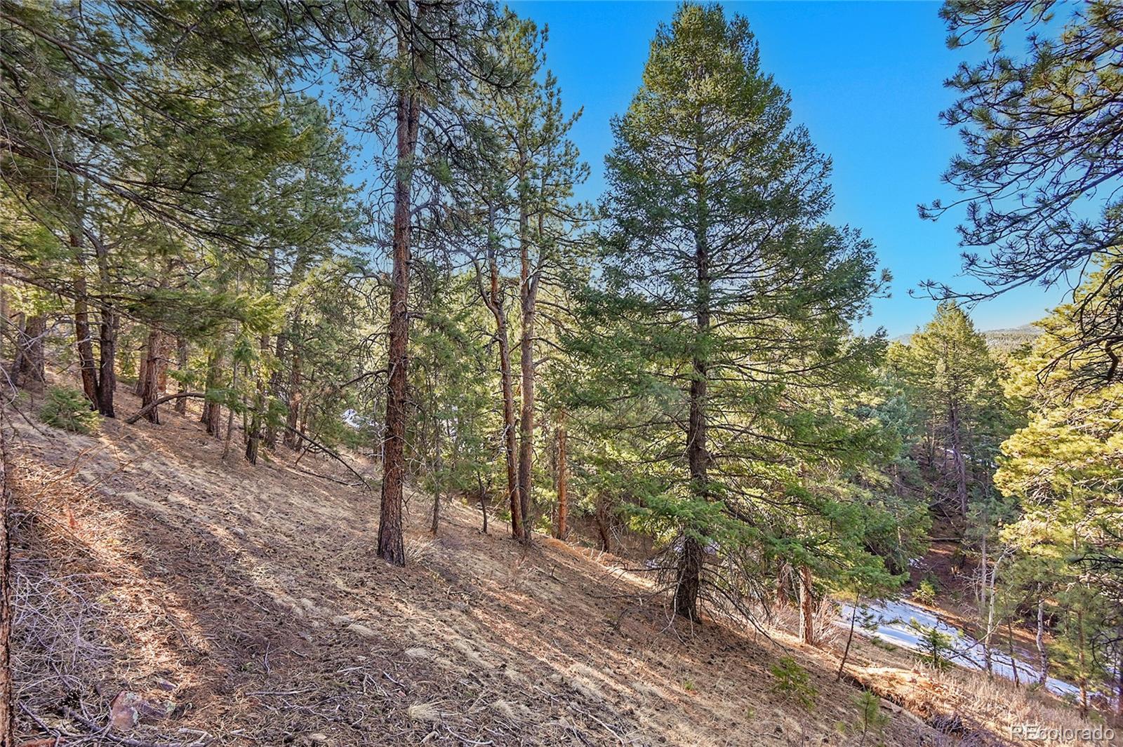 27292 Ridge Trail Conifer, CO 80433 - Photo 19 of 32 a view of a forest with trees