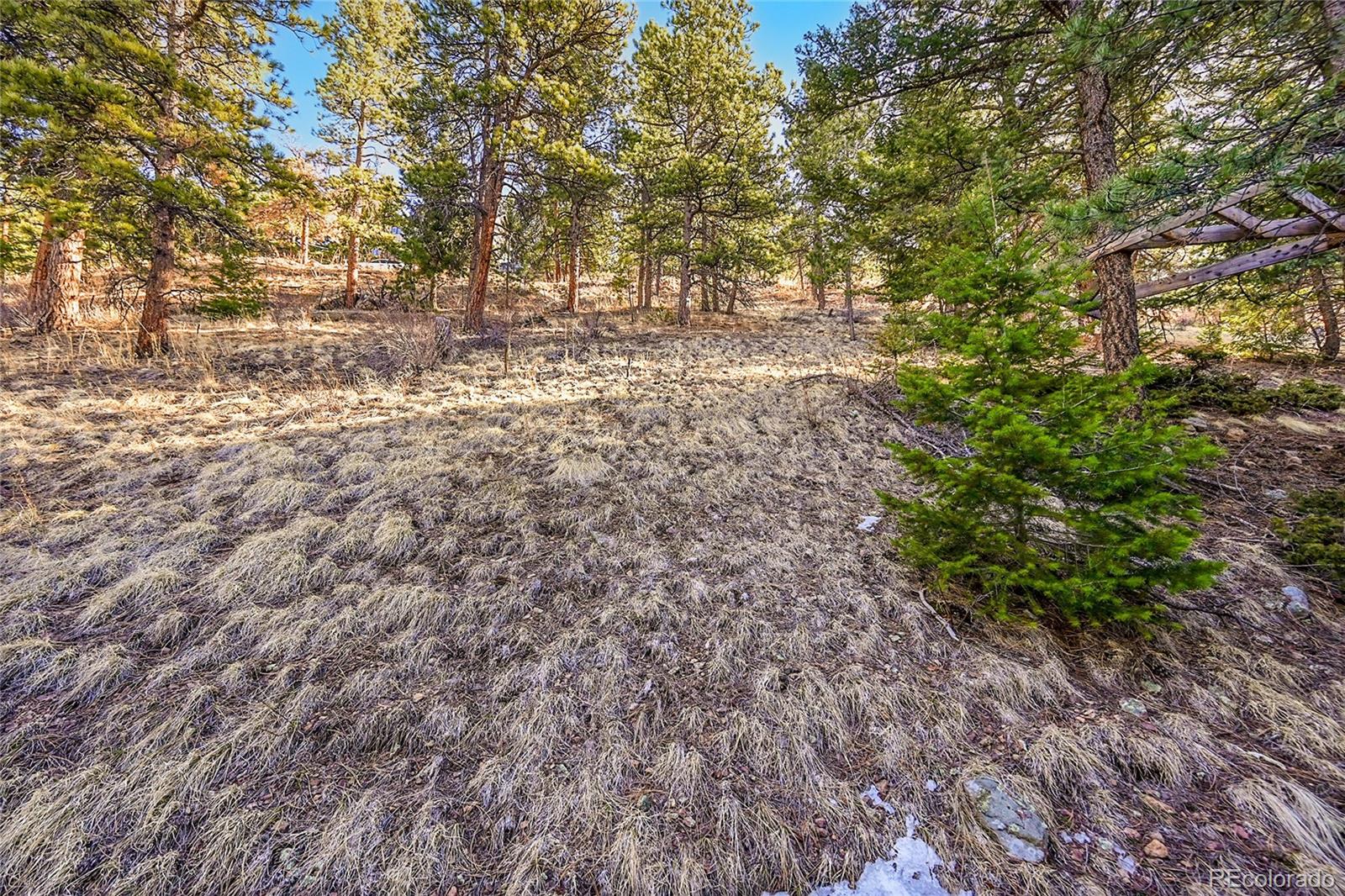 27292 Ridge Trail Conifer, CO 80433 - Photo 24 of 32 a view of a yard with plants and trees