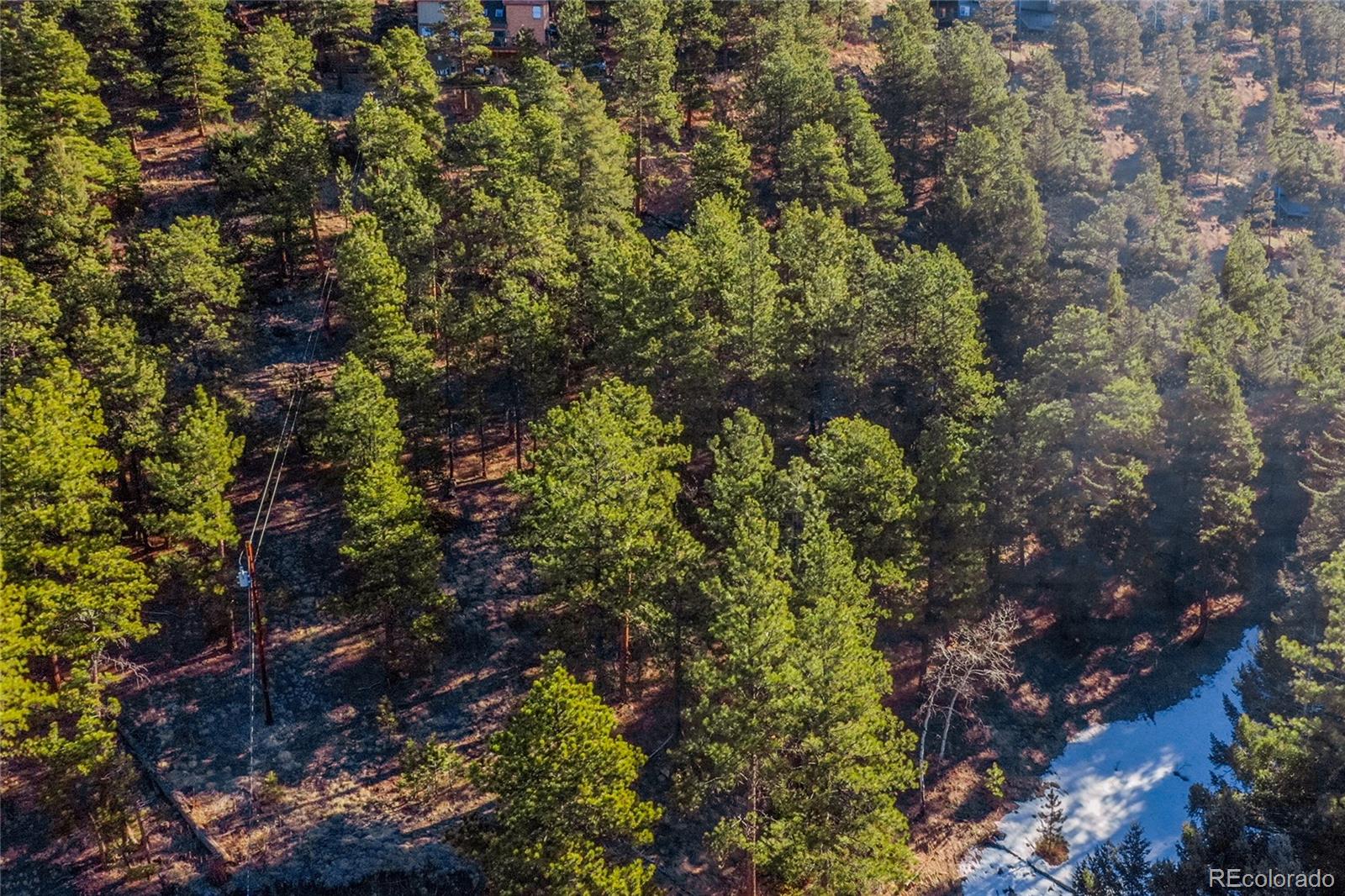 27292 Ridge Trail Conifer, CO 80433 - Photo 29 of 32 a picture of green space