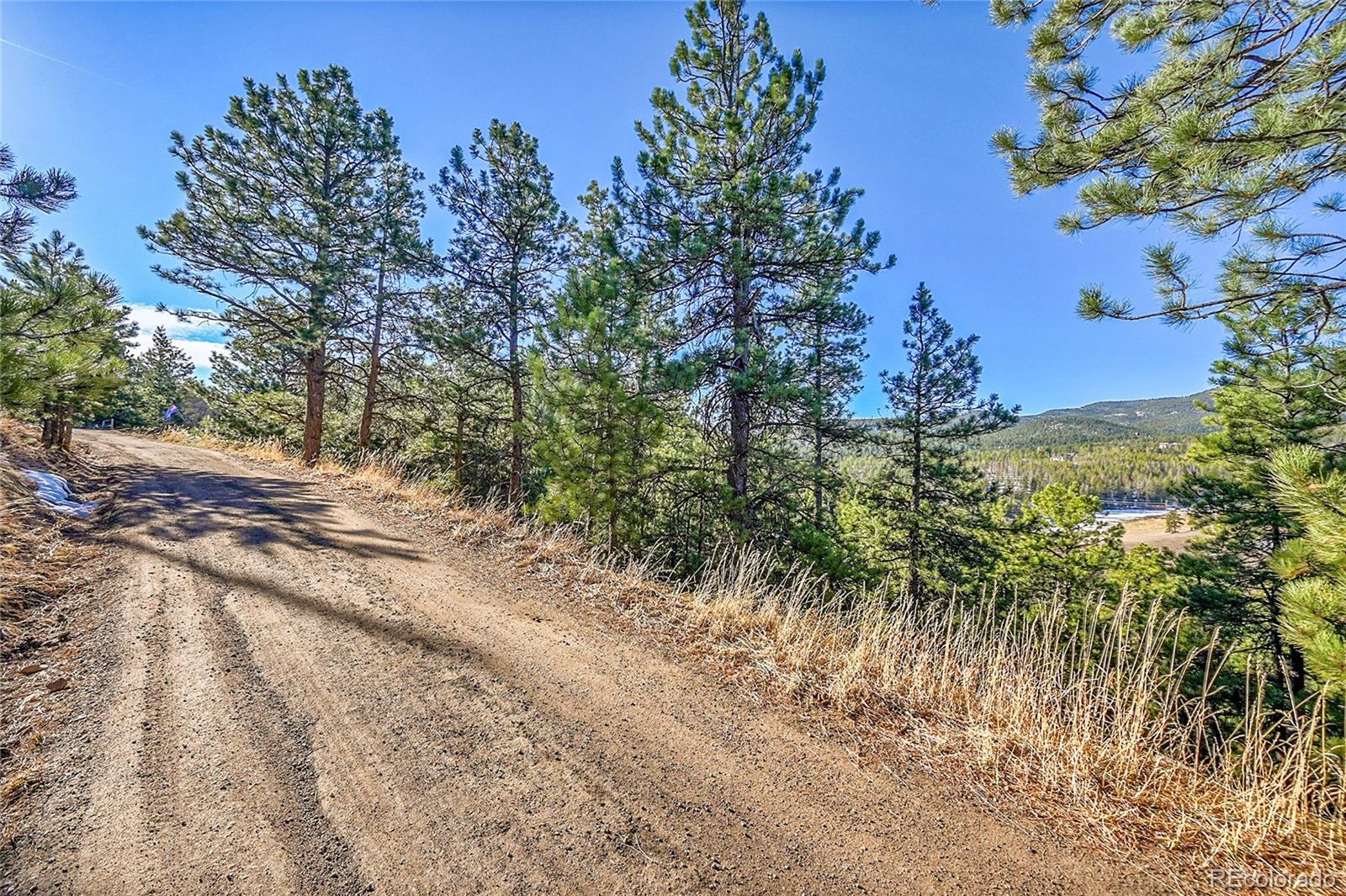 27292 Ridge Trail Conifer, CO 80433 - Photo 3 of 32 a view of a yard with plants and trees
