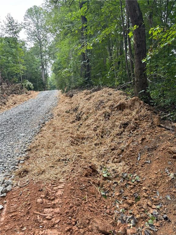 100 Buchanan Ga 30113 Buchanan, GA 30113 - Photo 10 of 11