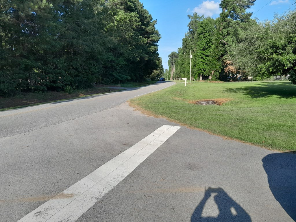 0 Thomas Walters Road Pineville, SC 29468 - Photo 2 of 3