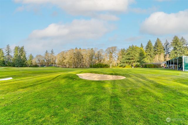 a view of a garden with large trees