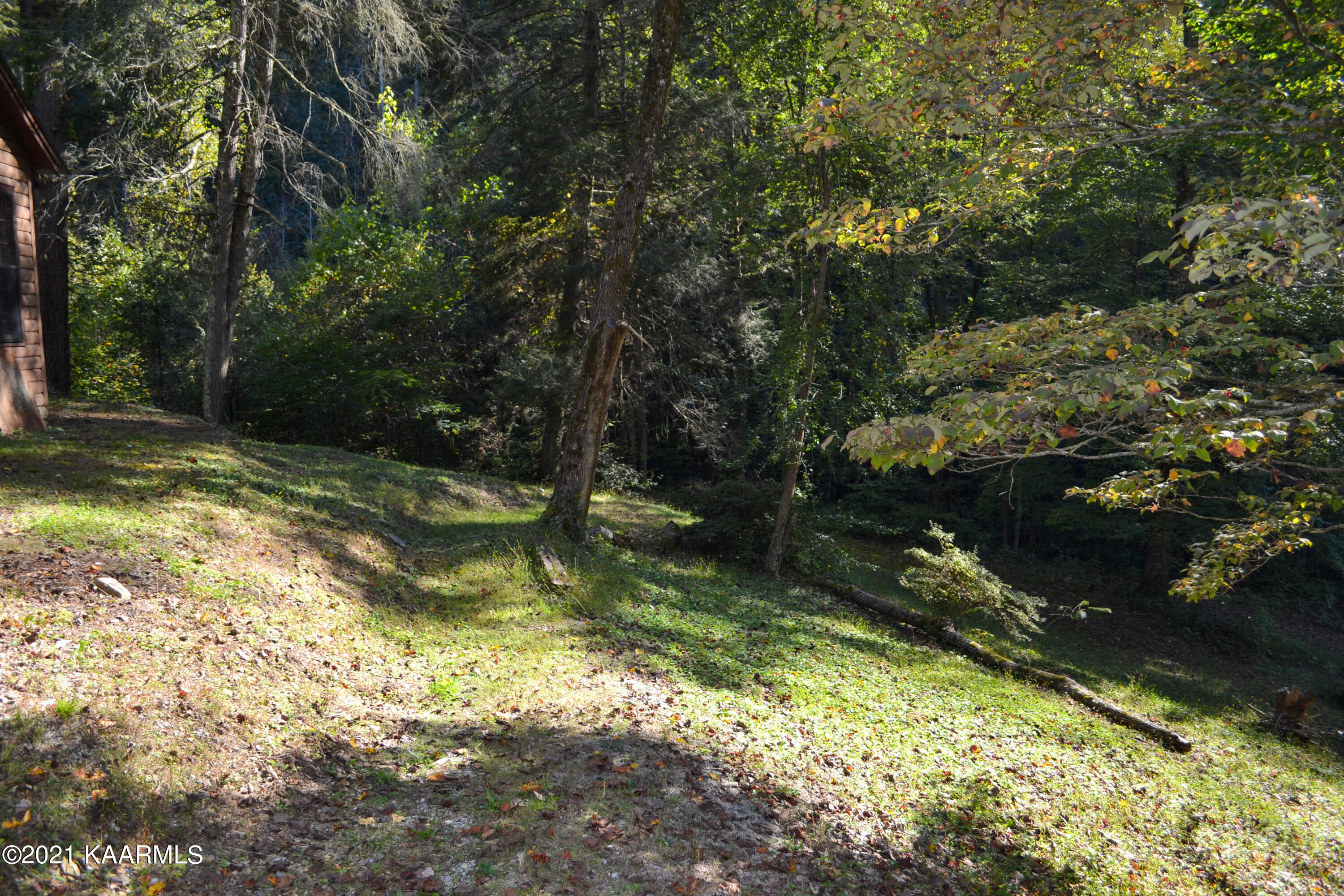 1902 Wears Valley Road Sevierville, TN 37862 - Photo 25 of 48 DSC_0165