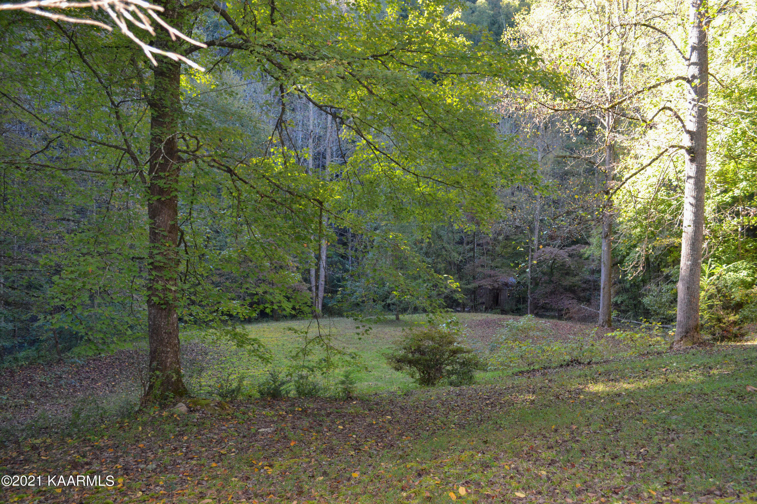 1902 Wears Valley Road Sevierville, TN 37862 - Photo 27 of 48 DSC_0167