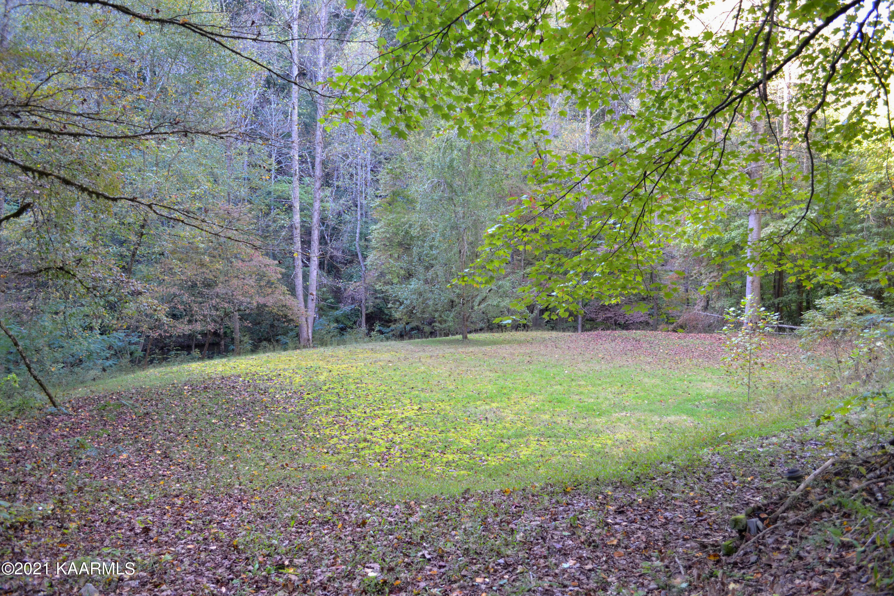 1902 Wears Valley Road Sevierville, TN 37862 - Photo 28 of 48 DSC_0168