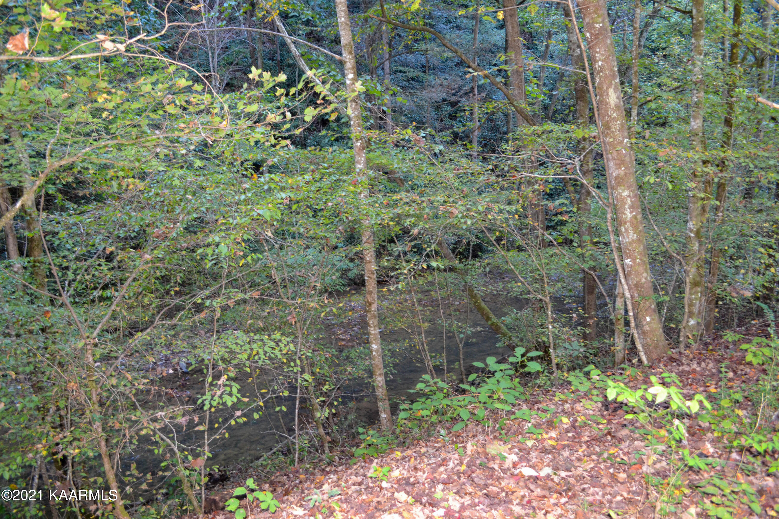 1902 Wears Valley Road Sevierville, TN 37862 - Photo 29 of 48 DSC_0169