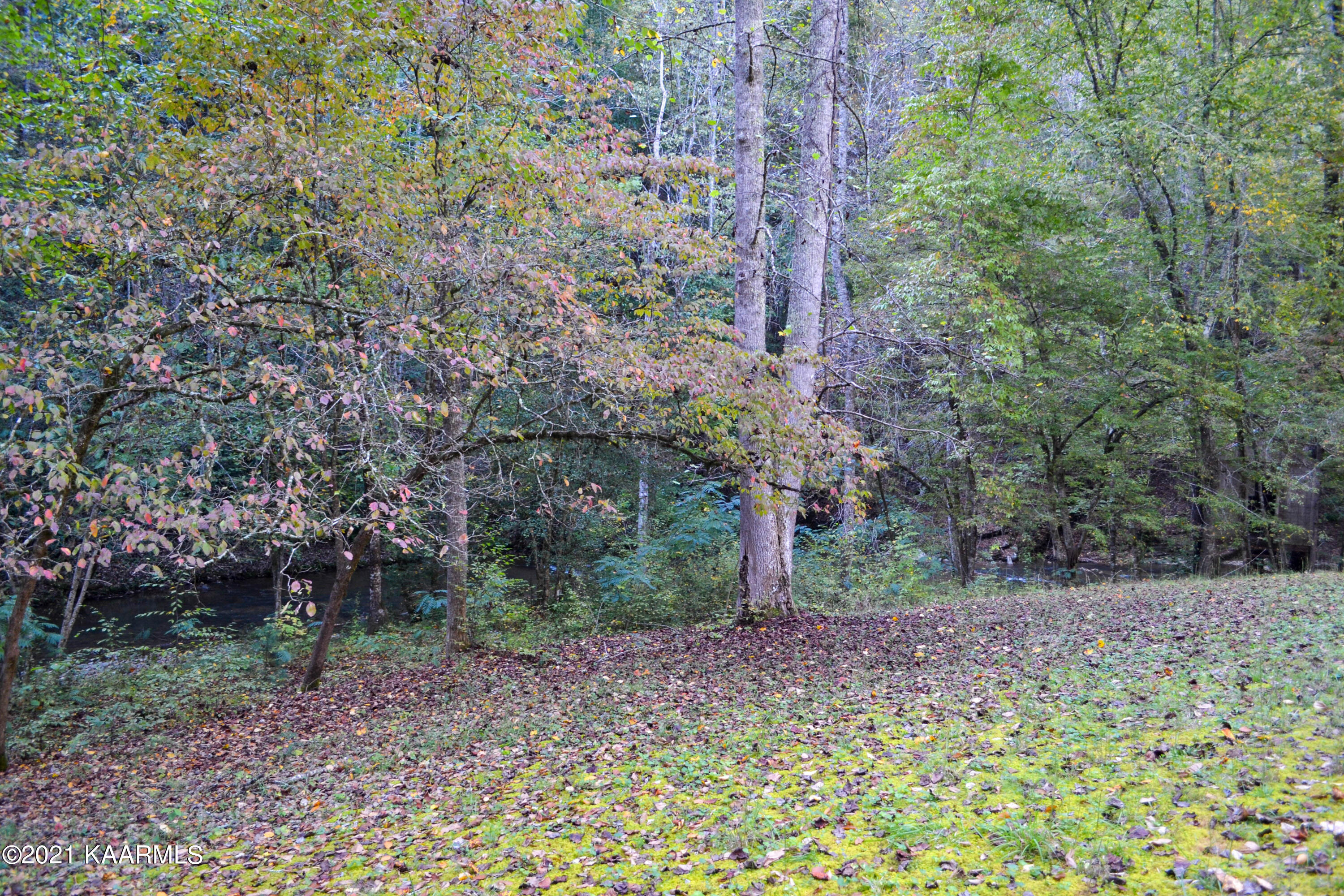 1902 Wears Valley Road Sevierville, TN 37862 - Photo 31 of 48 DSC_0171