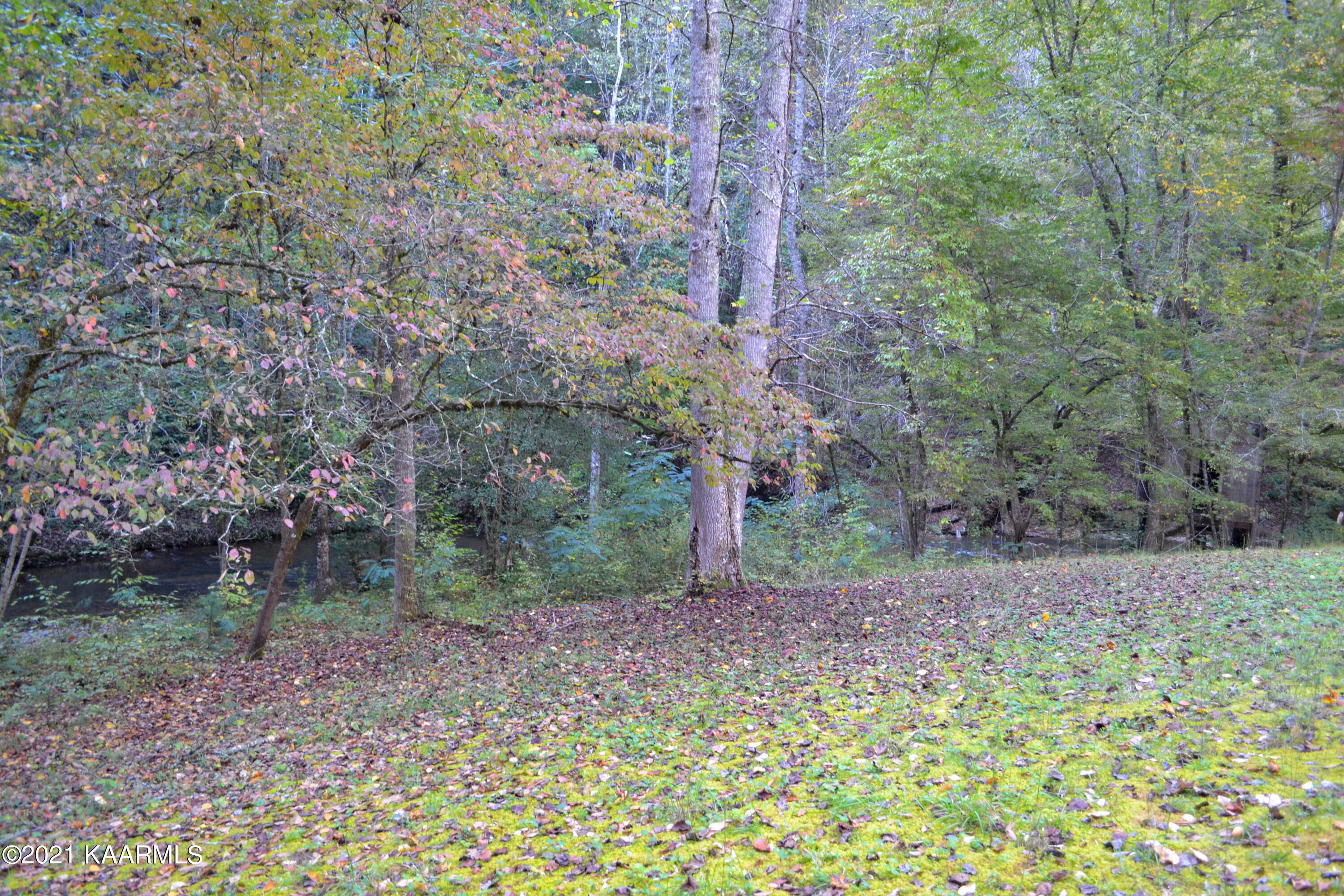 1902 Wears Valley Road Sevierville, TN 37862 - Photo 32 of 48 DSC_0172