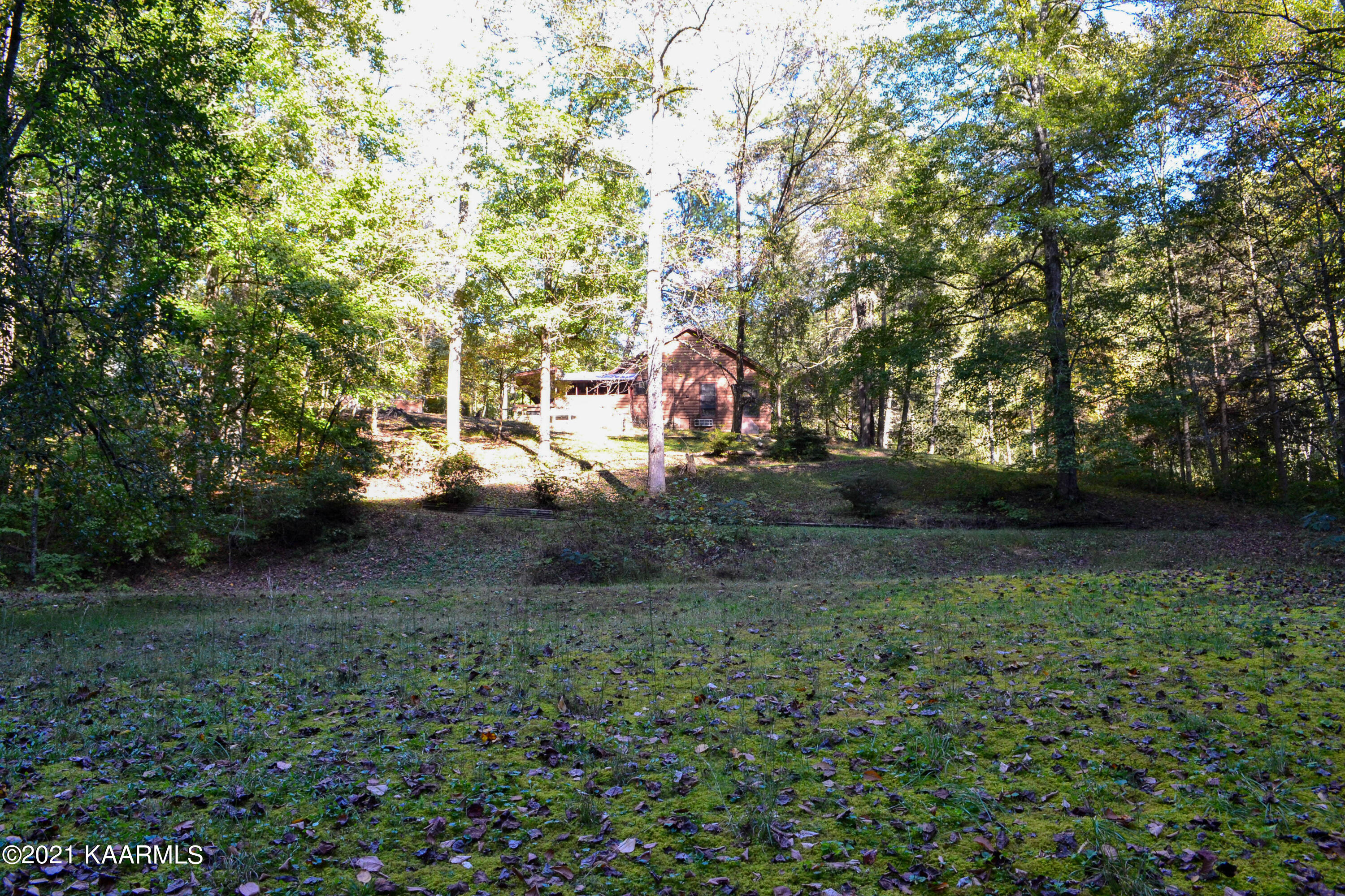 1902 Wears Valley Road Sevierville, TN 37862 - Photo 34 of 48 DSC_0174