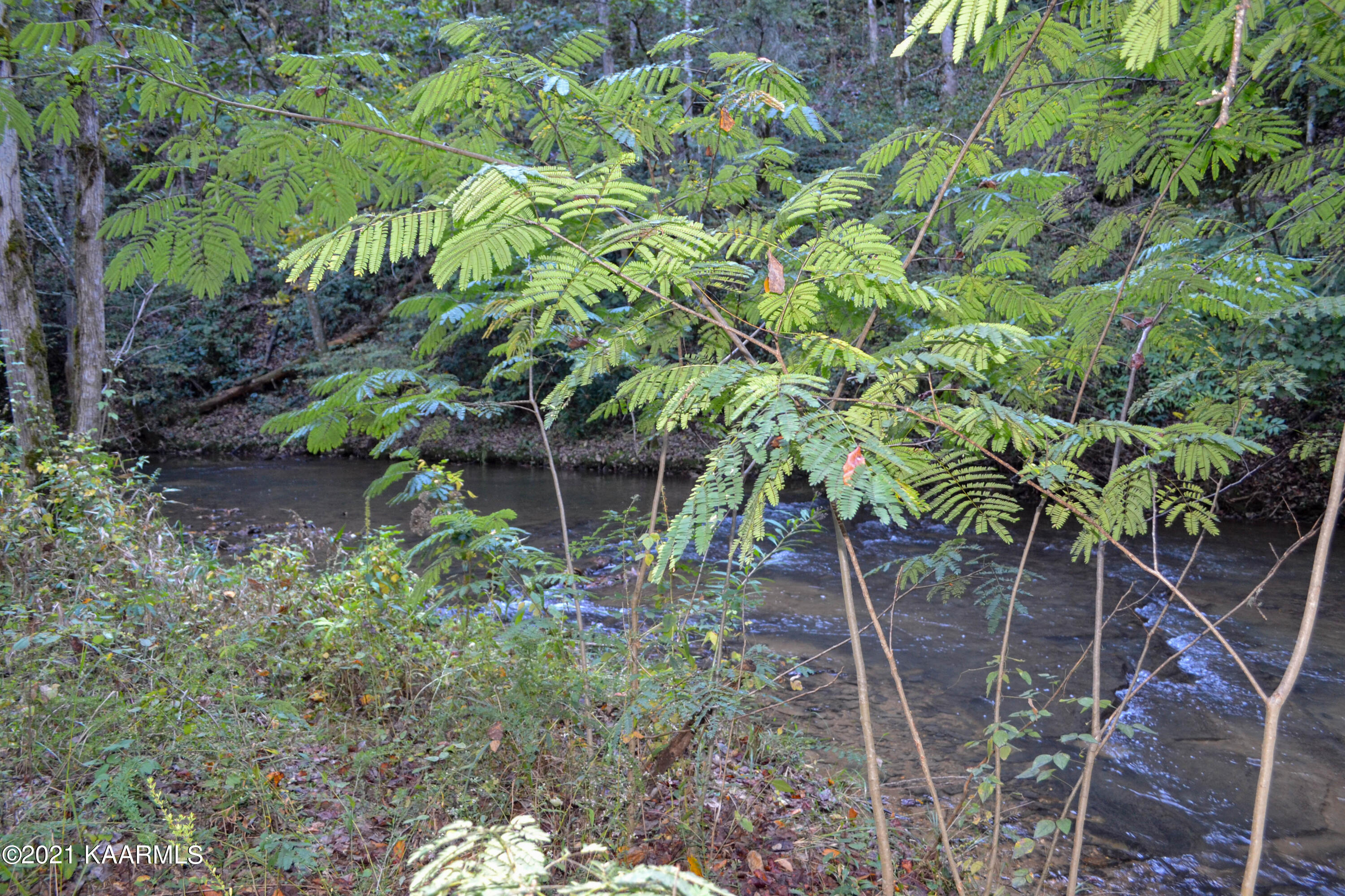 1902 Wears Valley Road Sevierville, TN 37862 - Photo 38 of 48 DSC_0178