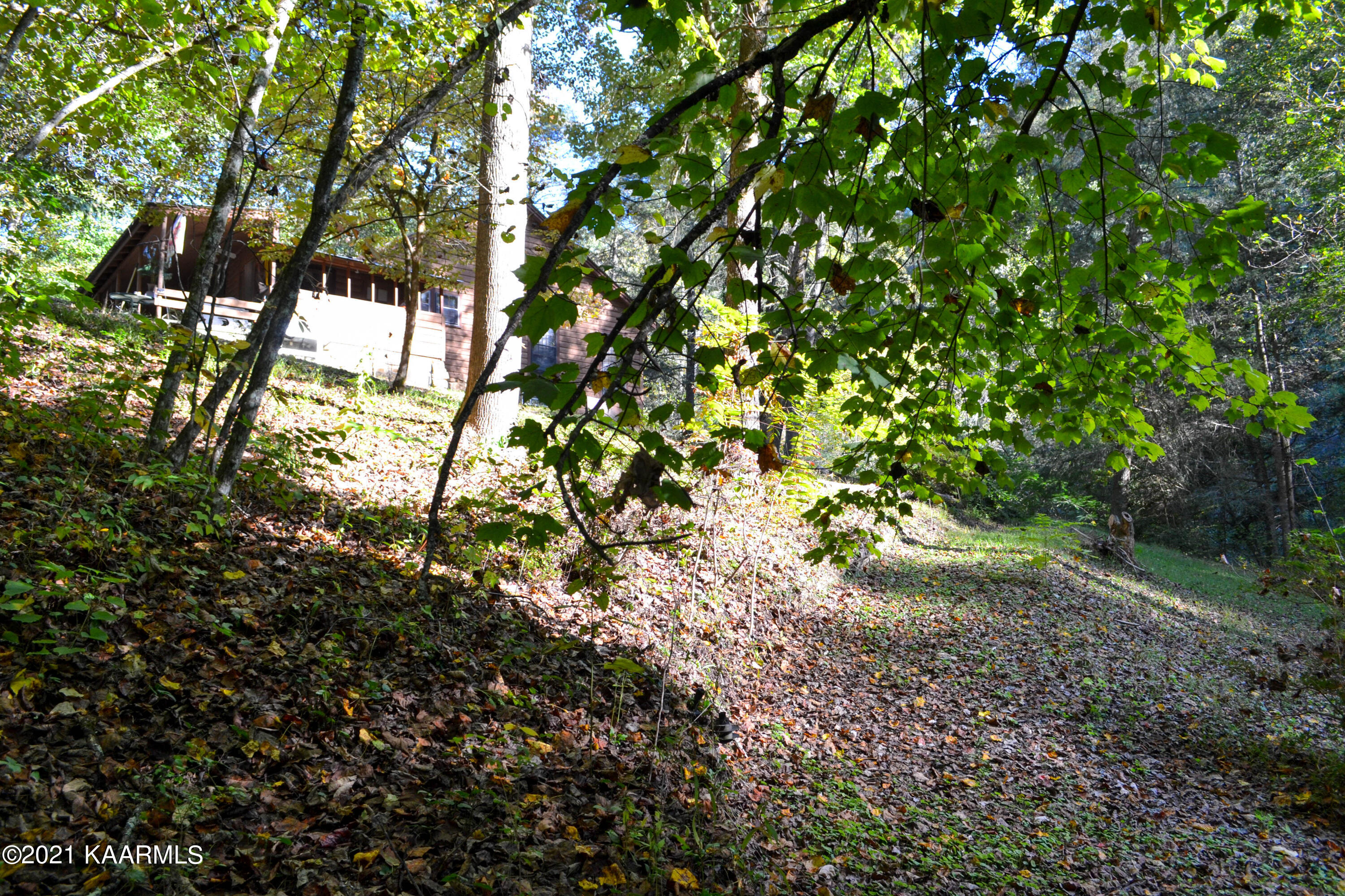 1902 Wears Valley Road Sevierville, TN 37862 - Photo 40 of 48 DSC_0180