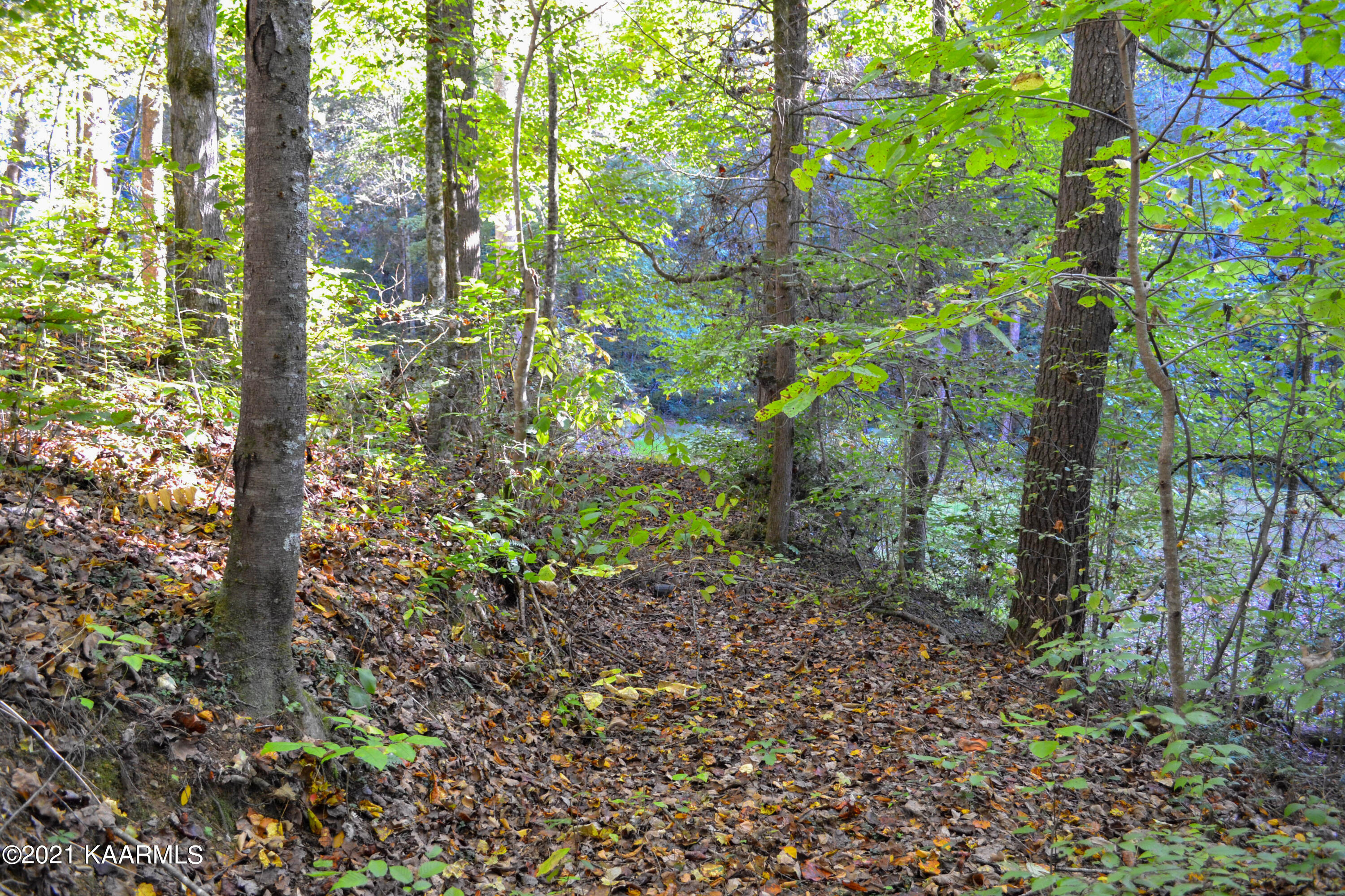 1902 Wears Valley Road Sevierville, TN 37862 - Photo 41 of 48 DSC_0181