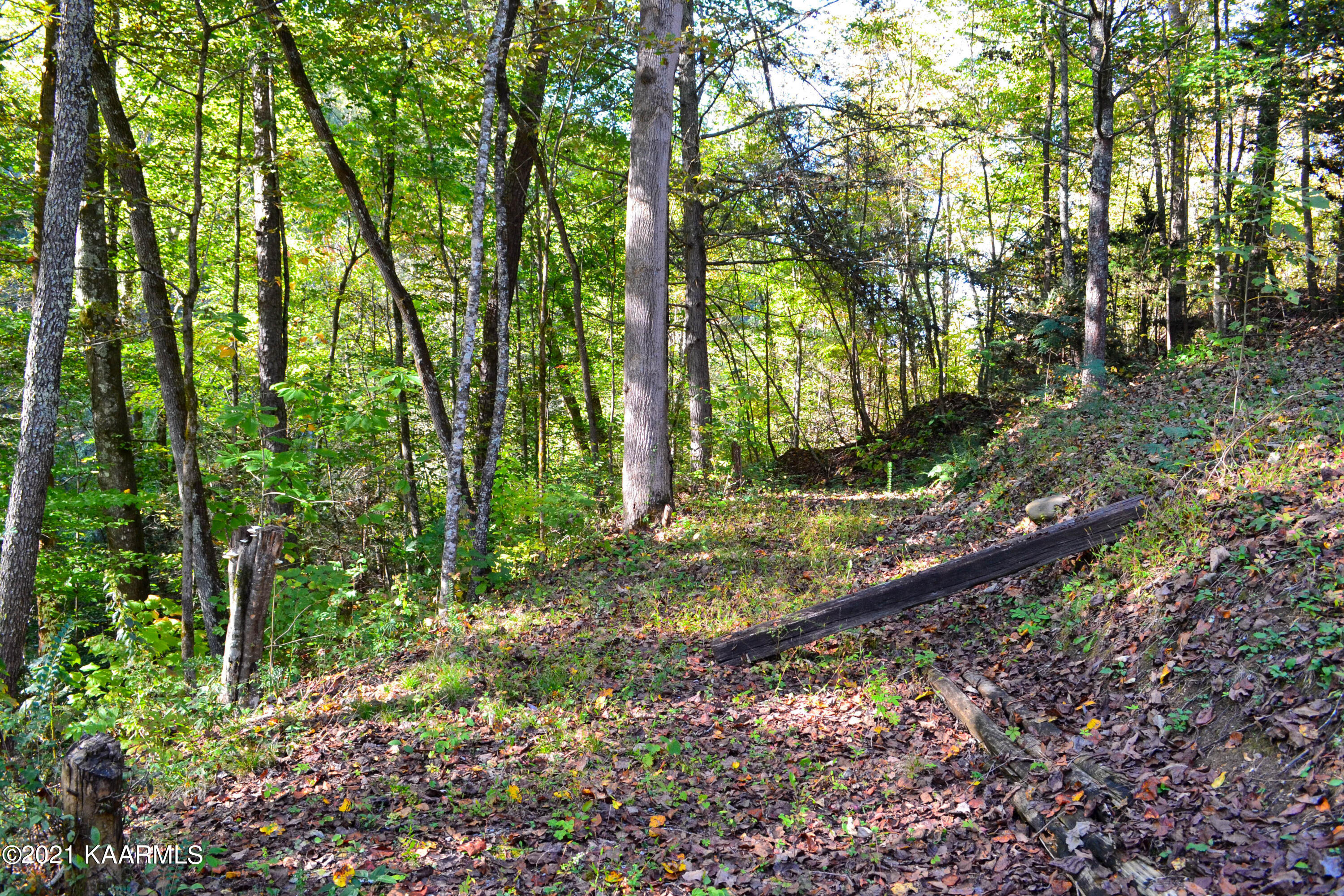 1902 Wears Valley Road Sevierville, TN 37862 - Photo 45 of 48 DSC_0185