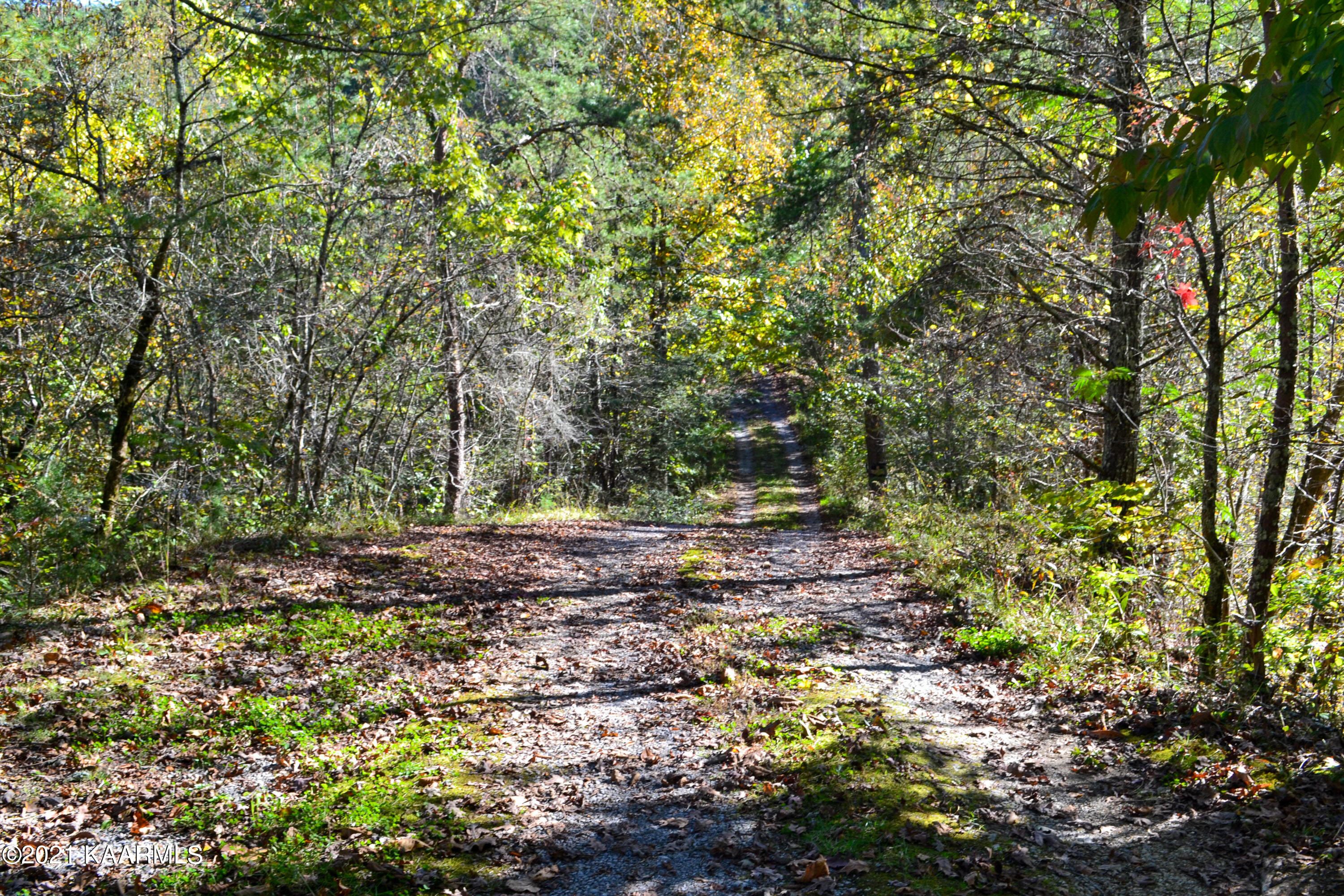 1902 Wears Valley Road Sevierville, TN 37862 - Photo 6 of 48 DSC_0145
