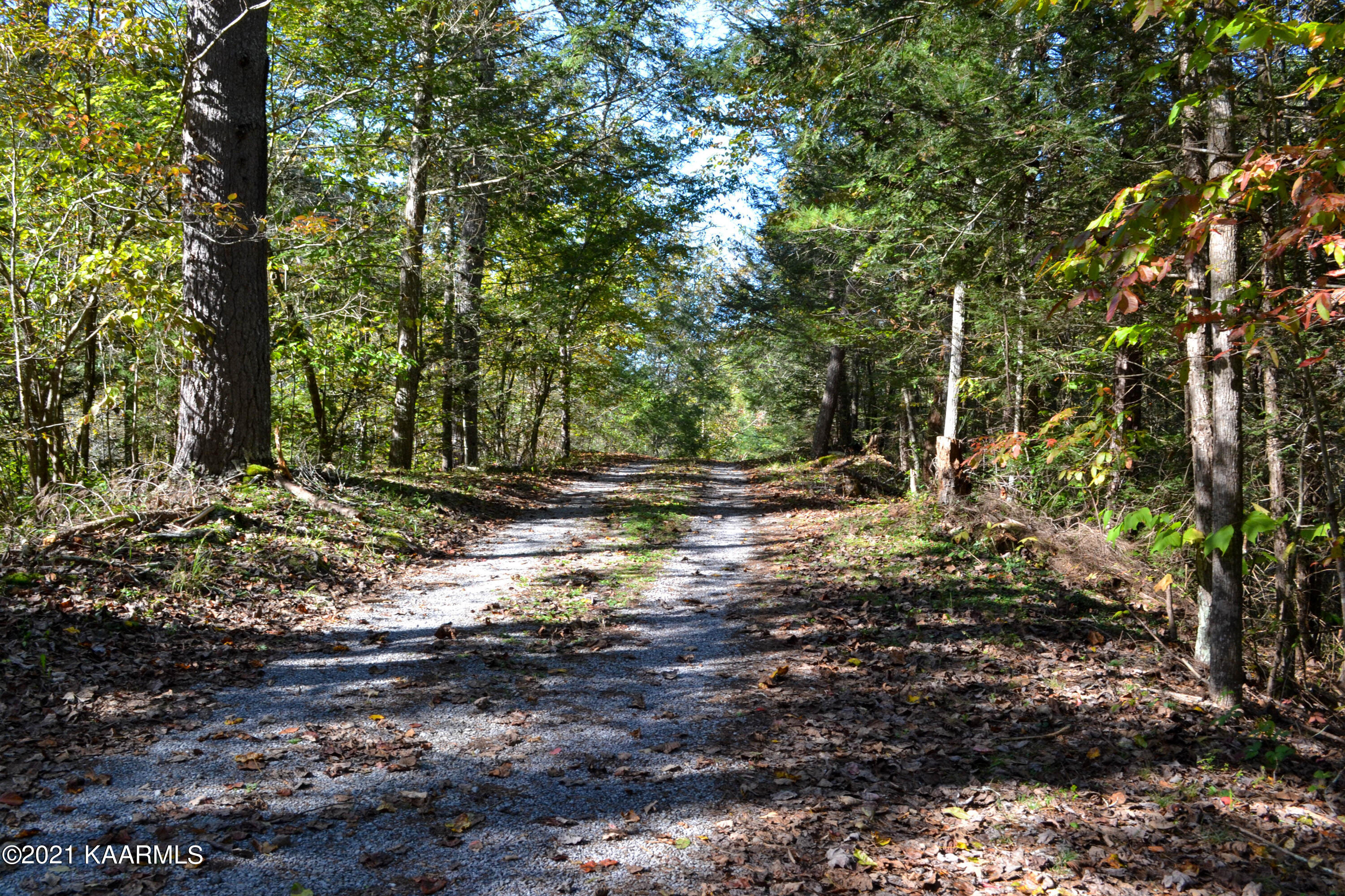 1902 Wears Valley Road Sevierville, TN 37862 - Photo 7 of 48 DSC_0146