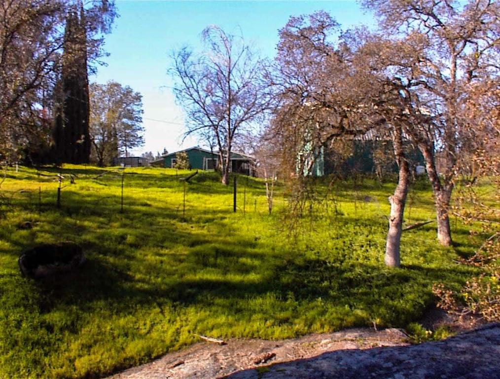 37702 Squaw Valley Road Squaw Valley, CA 93675 - Photo 38 of 42 a view of a swimming pool with an outdoor seating and a lake view