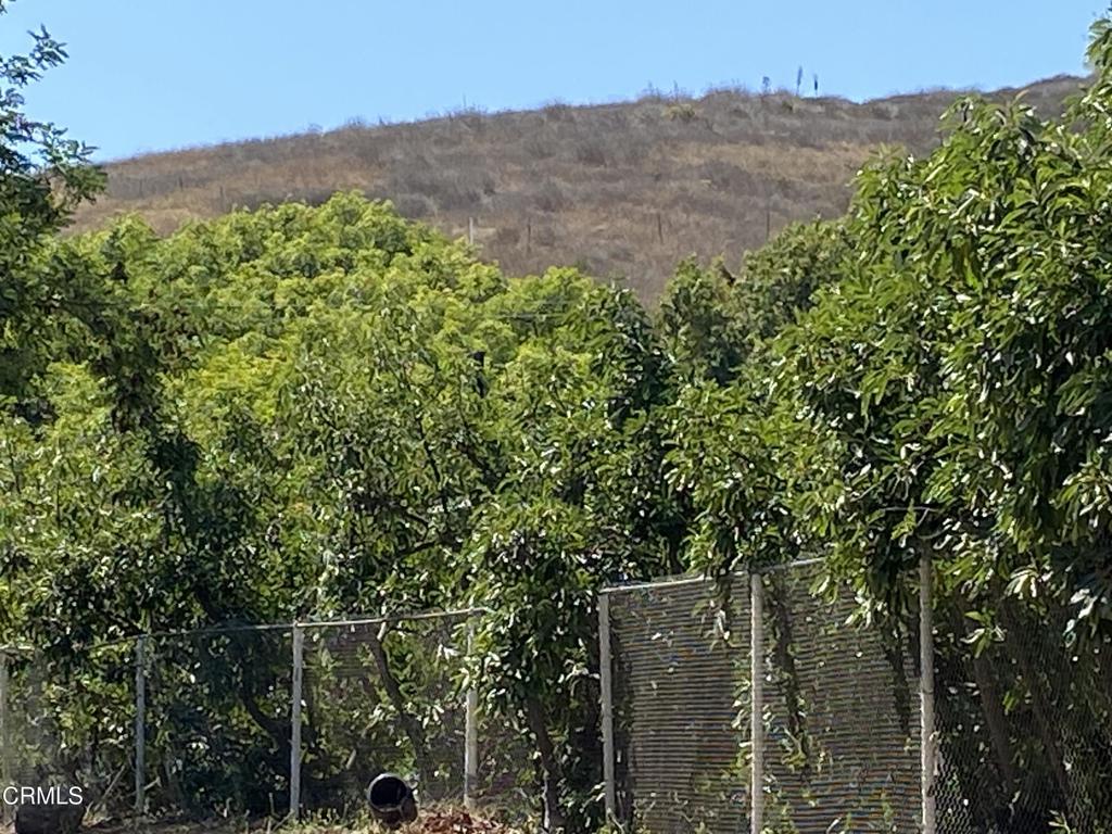 6120 Gabbert Road Moorpark, CA 93021 - Photo 4 of 6 an aerial view of a house