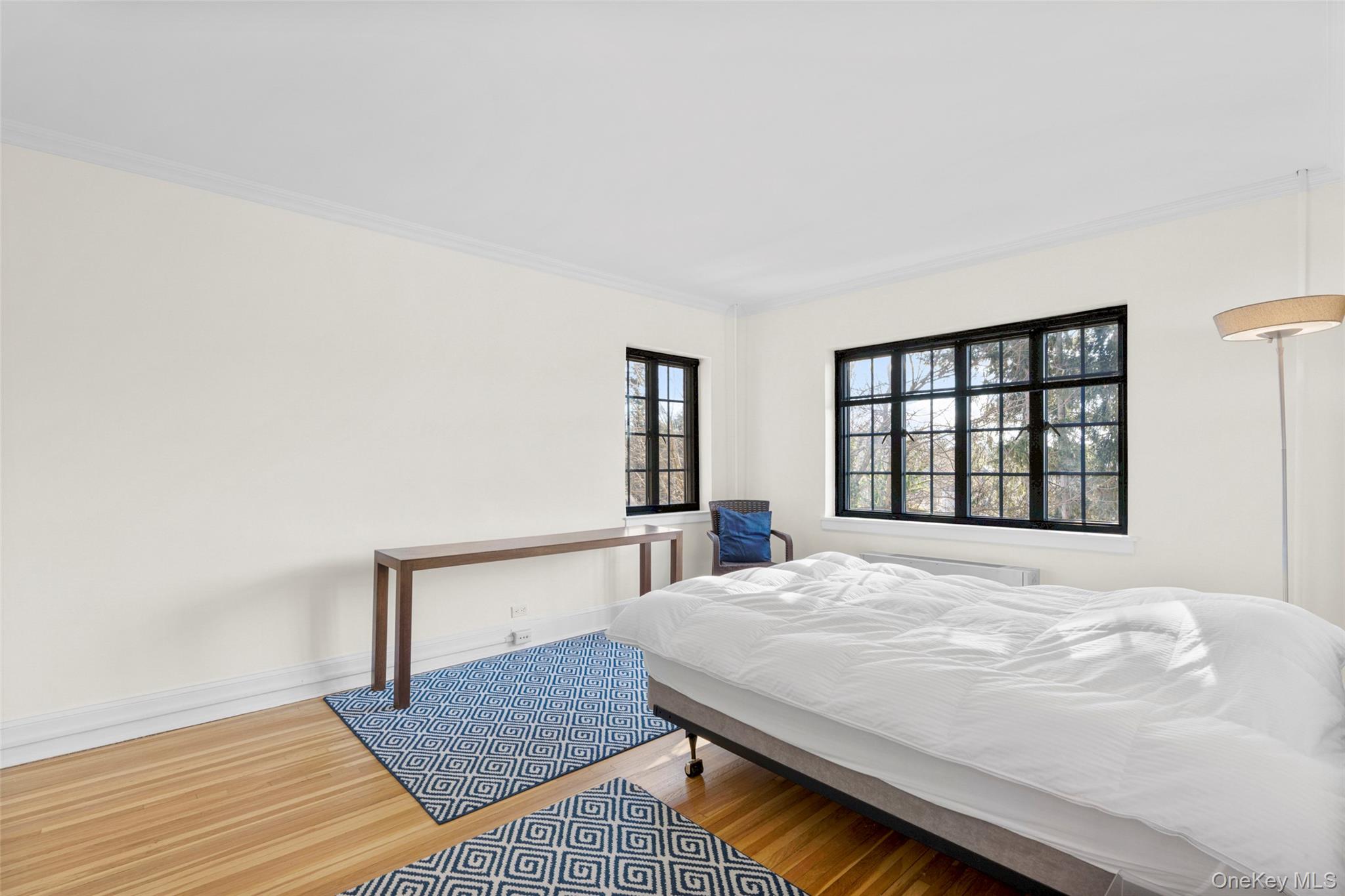 66-milton Rd Milton, Unit C41 Rye, NY 10580 - Photo 13 of 15 Double window exposure in the primary bedroom