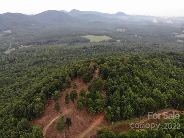 0 Padgett Road Rutherfordton, NC 28139 - Photo 1 of 28 a view of a mountain range with trees