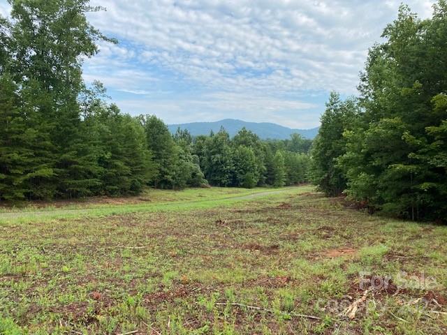 0 Padgett Road Rutherfordton, NC 28139 - Photo 12 of 28 a view of a yard with an trees