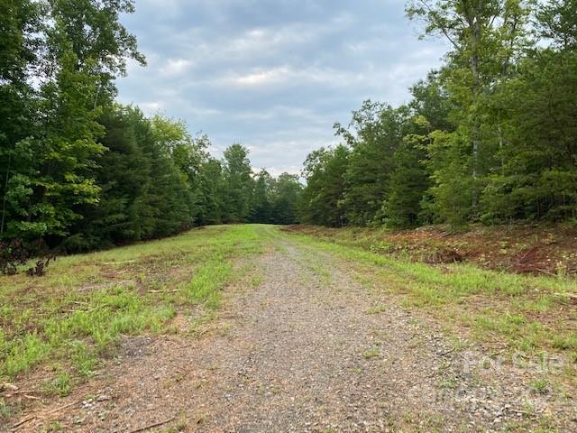 0 Padgett Road Rutherfordton, NC 28139 - Photo 18 of 28 a view of a yard with a tree