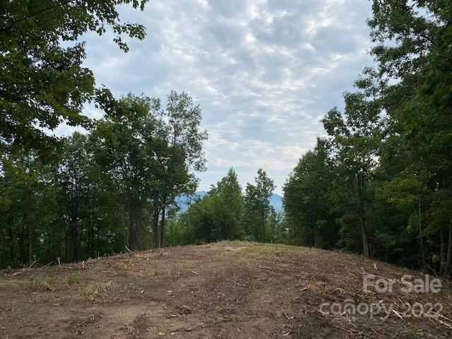 0 Padgett Road Rutherfordton, NC 28139 - Photo 21 of 28
