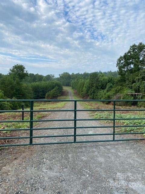 0 Padgett Road Rutherfordton, NC 28139 - Photo 24 of 28 a view of backyard and mountain