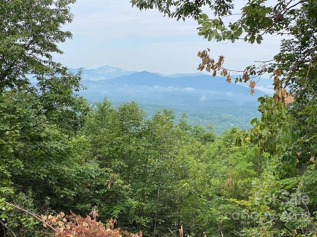 0 Padgett Road Rutherfordton, NC 28139 - Photo 3 of 28 a view of a outdoor space and a yard