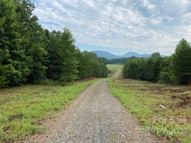 0 Padgett Road Rutherfordton, NC 28139 - Photo 5 of 28 a view of a yard with an trees