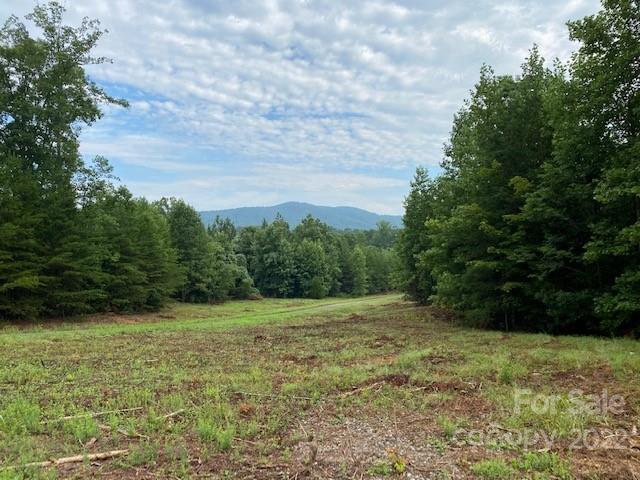 0 Padgett Road Rutherfordton, NC 28139 - Photo 6 of 28 a view of a grassy field with trees in the background