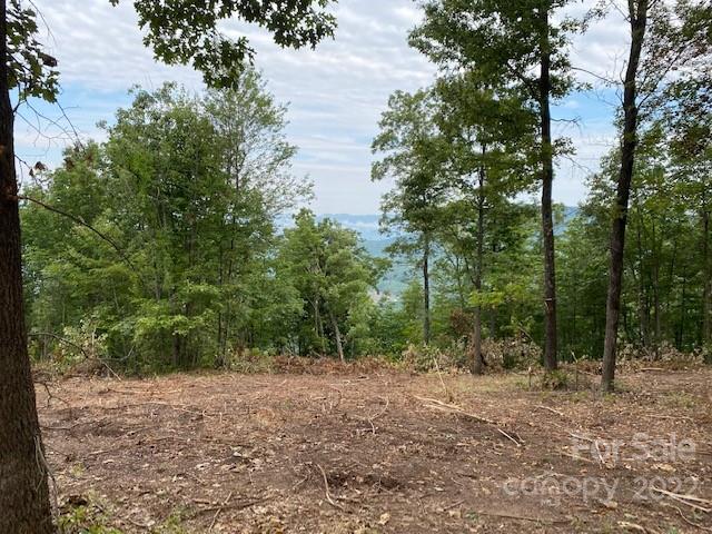 0 Padgett Road Rutherfordton, NC 28139 - Photo 8 of 28 a view of a forest with trees in the background