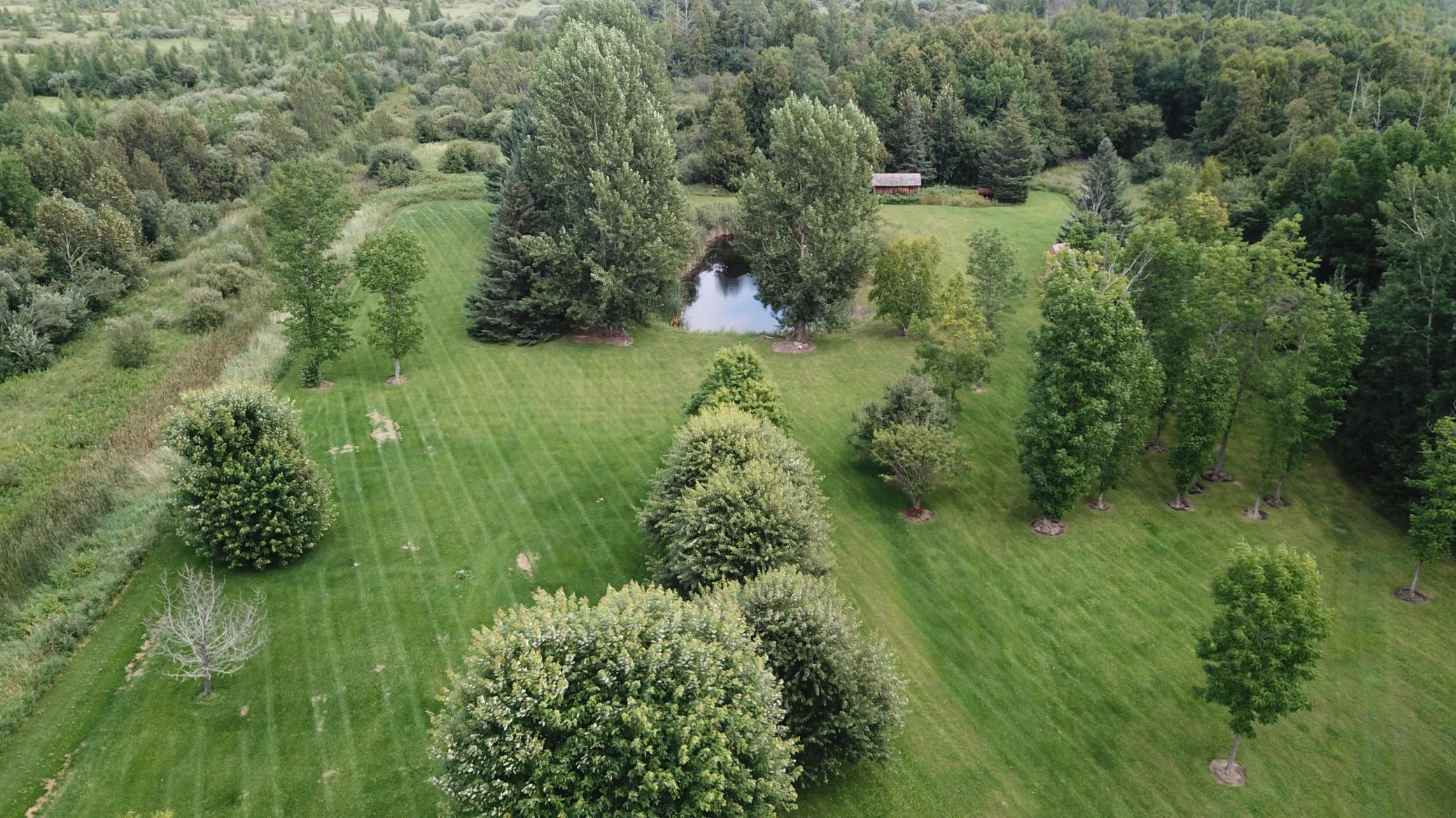 66942 Judees Road Northwest Grygla, MN 56727 - Photo 40 of 51