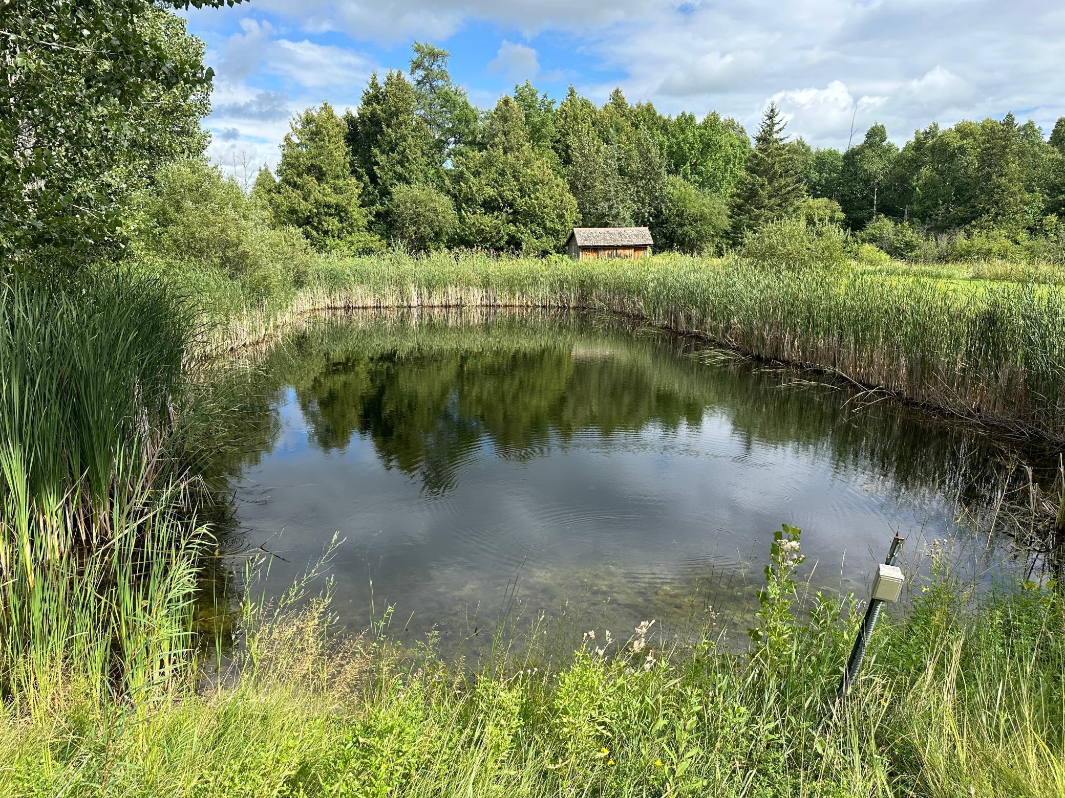 66942 Judees Road Northwest Grygla, MN 56727 - Photo 41 of 51