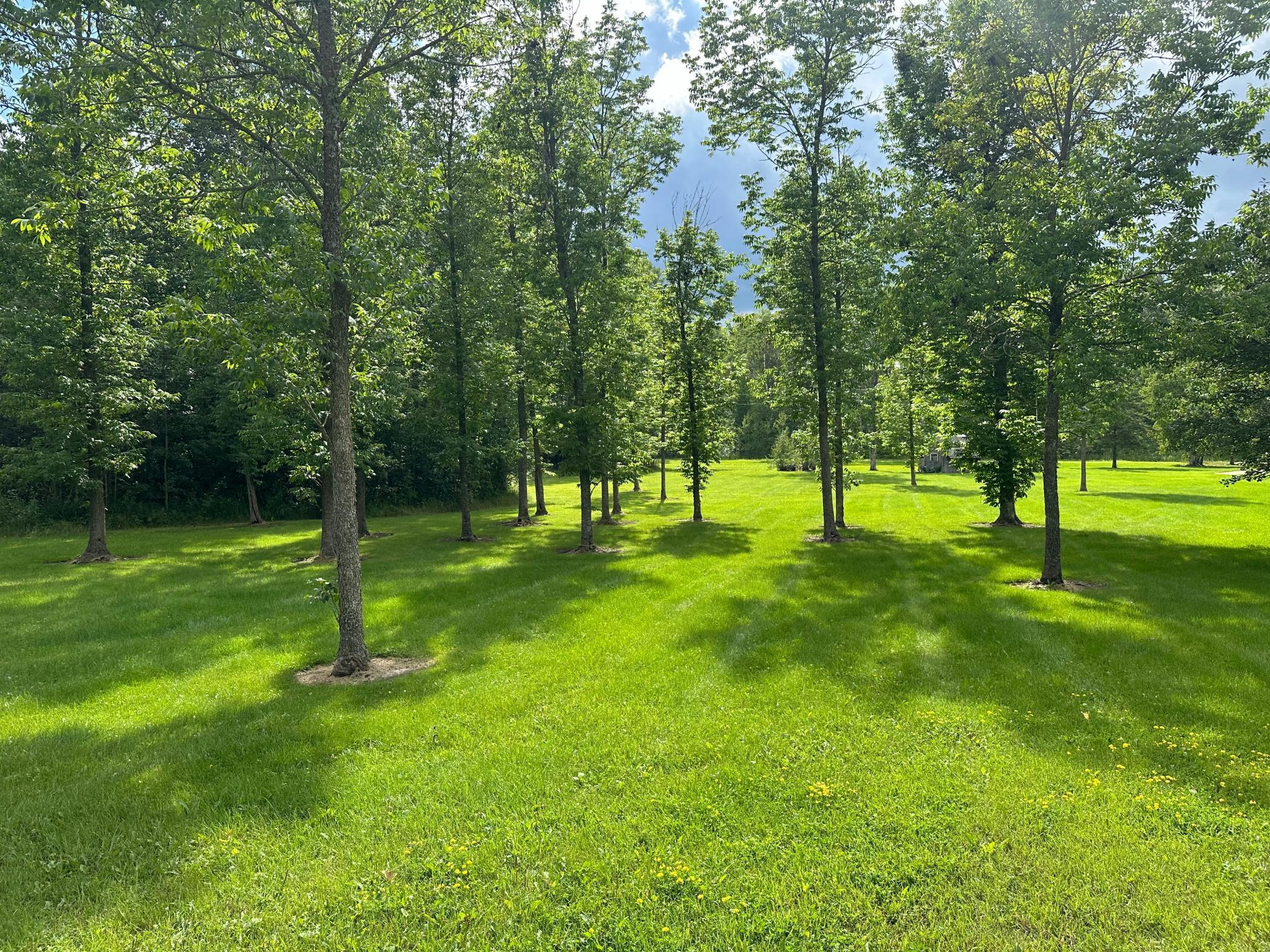 66942 Judees Road Northwest Grygla, MN 56727 - Photo 48 of 51