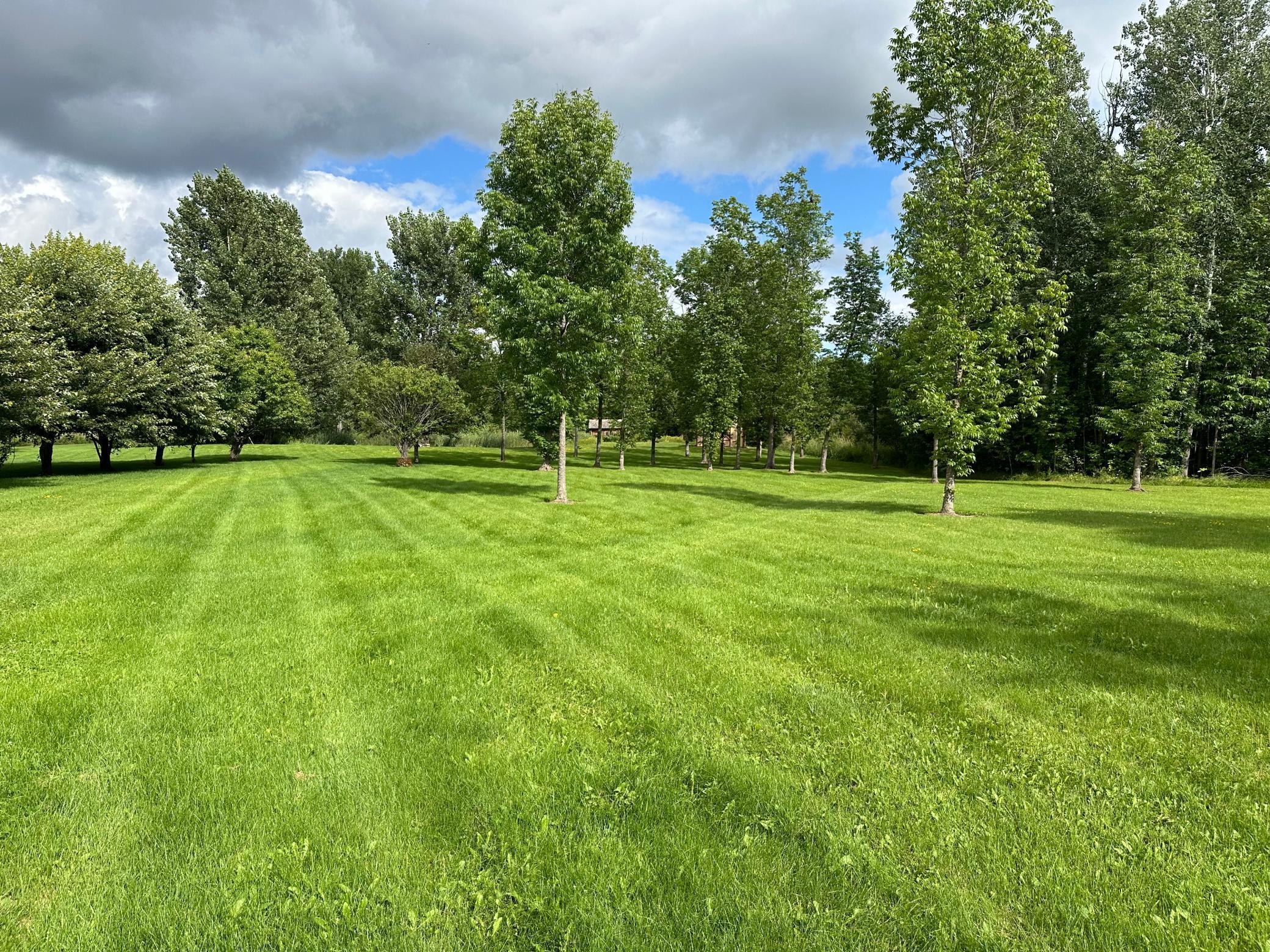 66942 Judees Road Northwest Grygla, MN 56727 - Photo 50 of 51