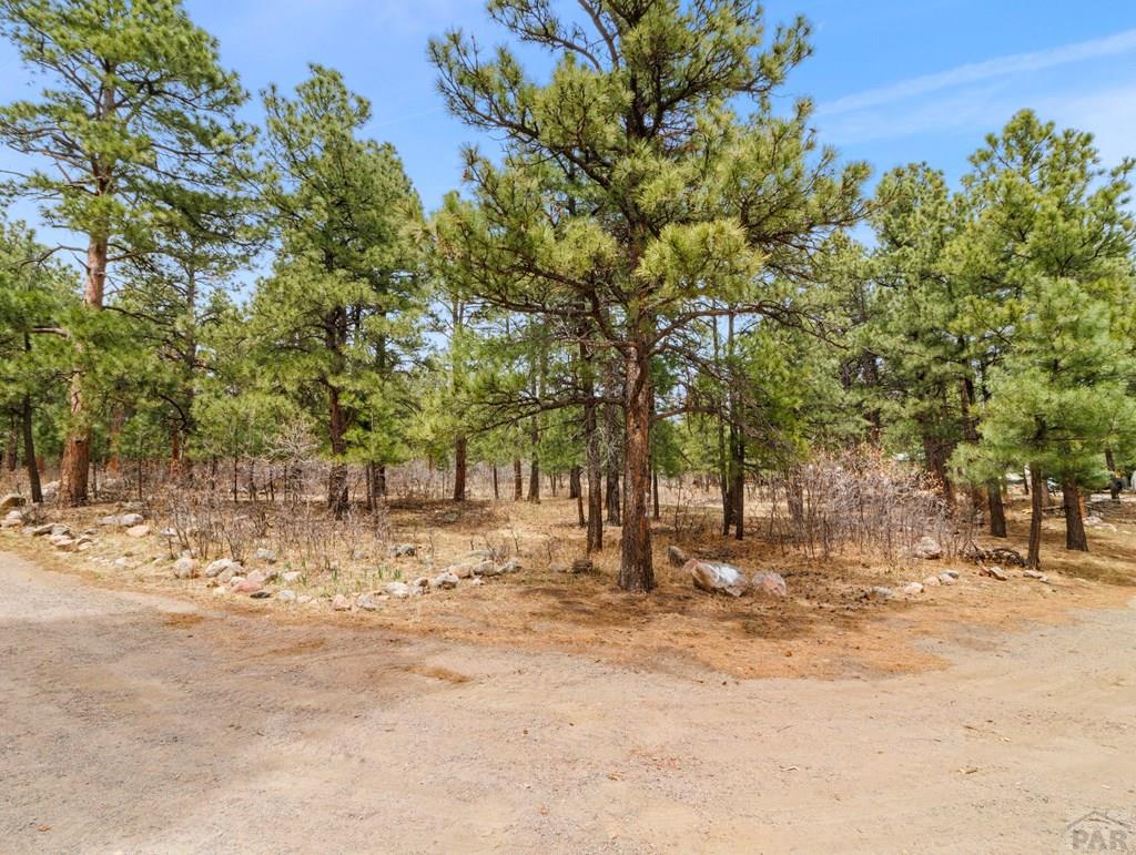 8145 Birch Drive Rye, CO 81069 - Photo 5 of 44