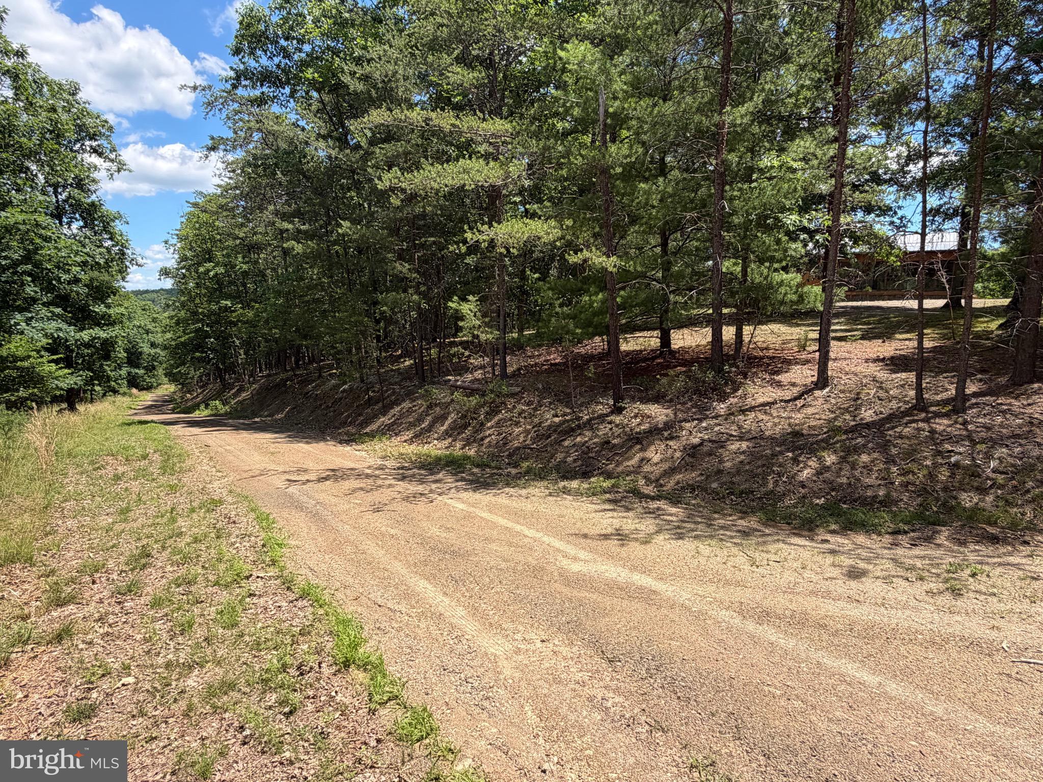 511 Chickadee Road Purgitsville, WV 26852 - Photo 8 of 99