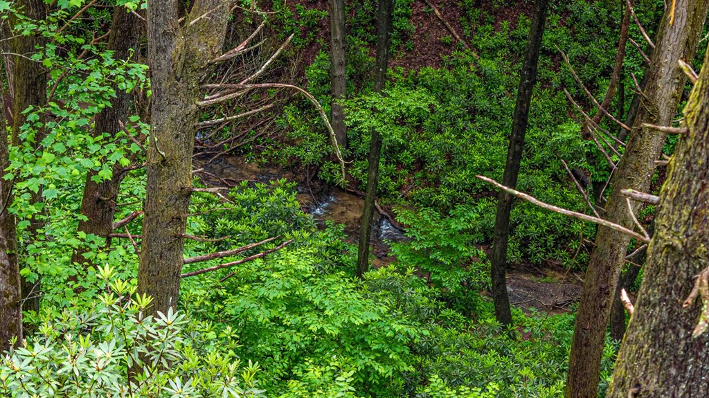 231 Conley Branch Road Blue Ridge, GA 30513 - Photo 52 of 52 Gallery Image 52